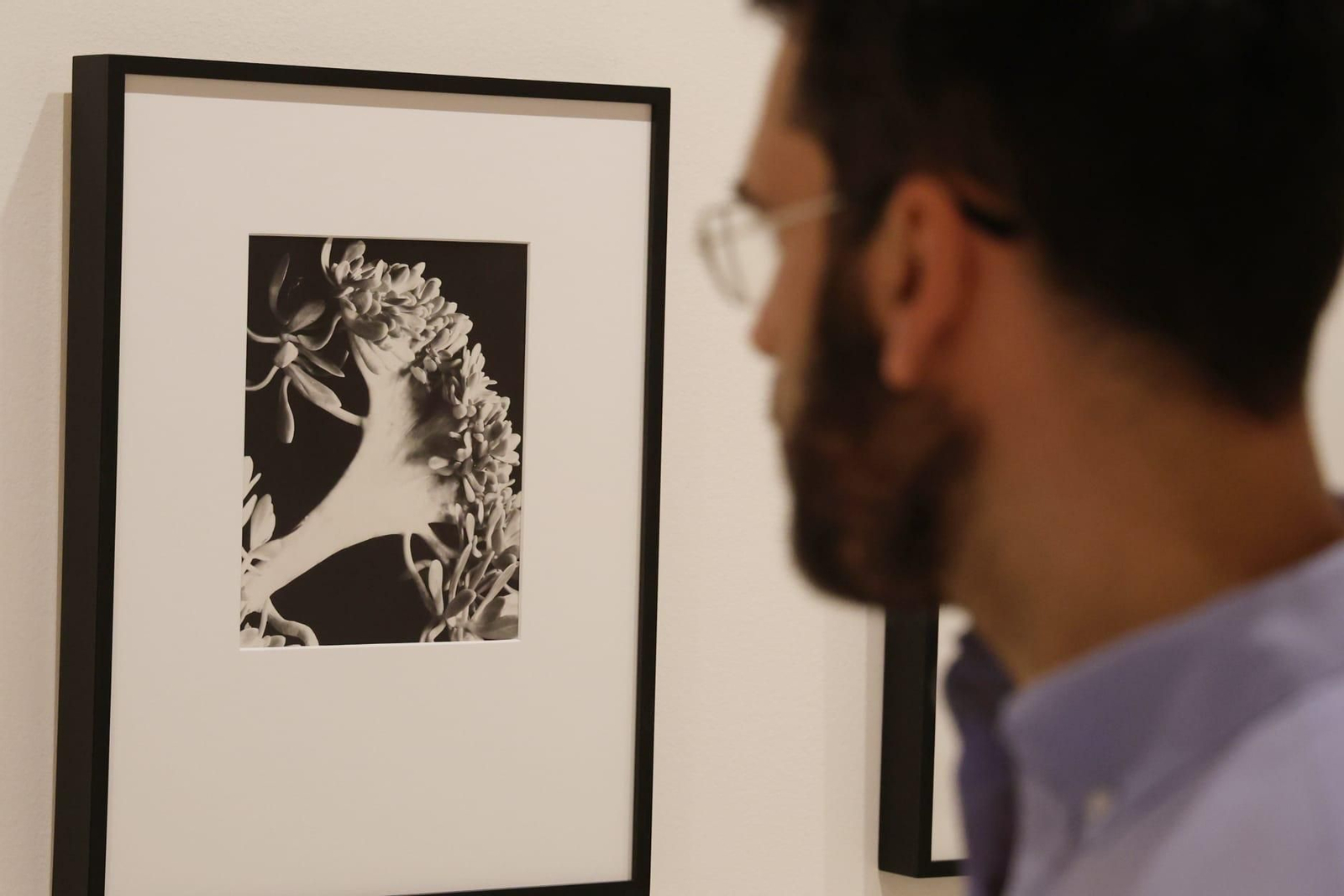 Cuadros de la nueva exposición del Museo Carmen Thyssen de Málaga