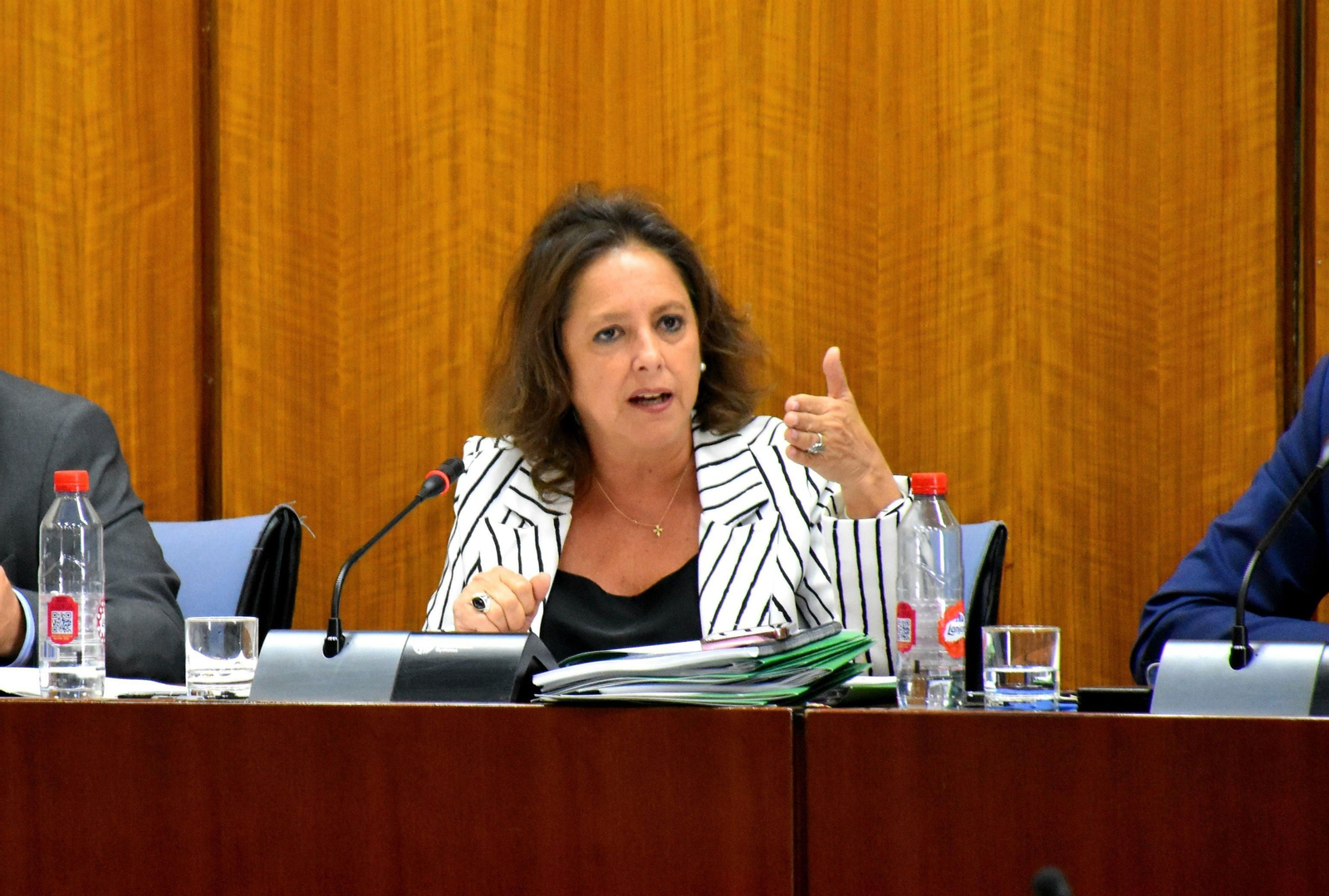 La consejera de Salud, Catalina García, reconoce que el SAS no tiene "capacidad para sustituir a todos los médicos que se van de vacaciones".