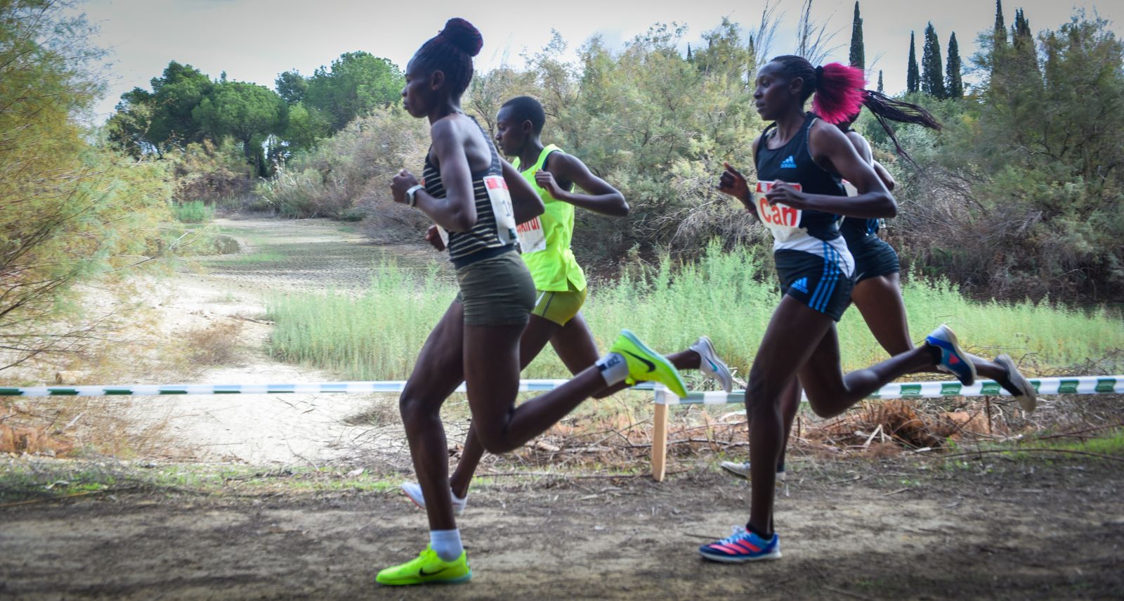 Las imágenes del Cross Internacional Itálica 2022