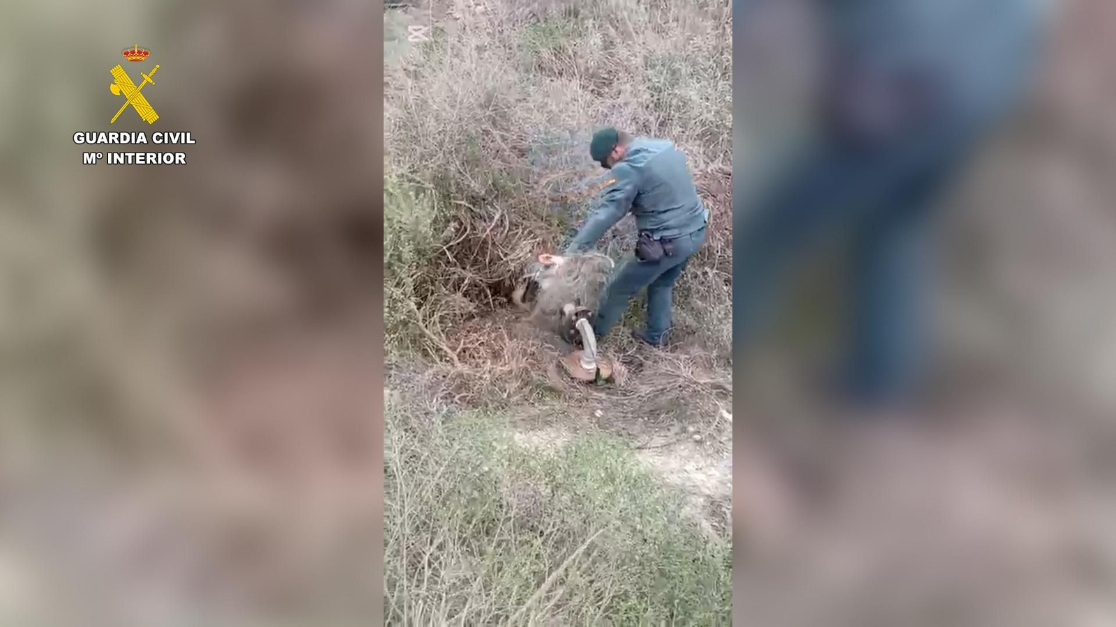 Un agente inspecciona la zona afectada.