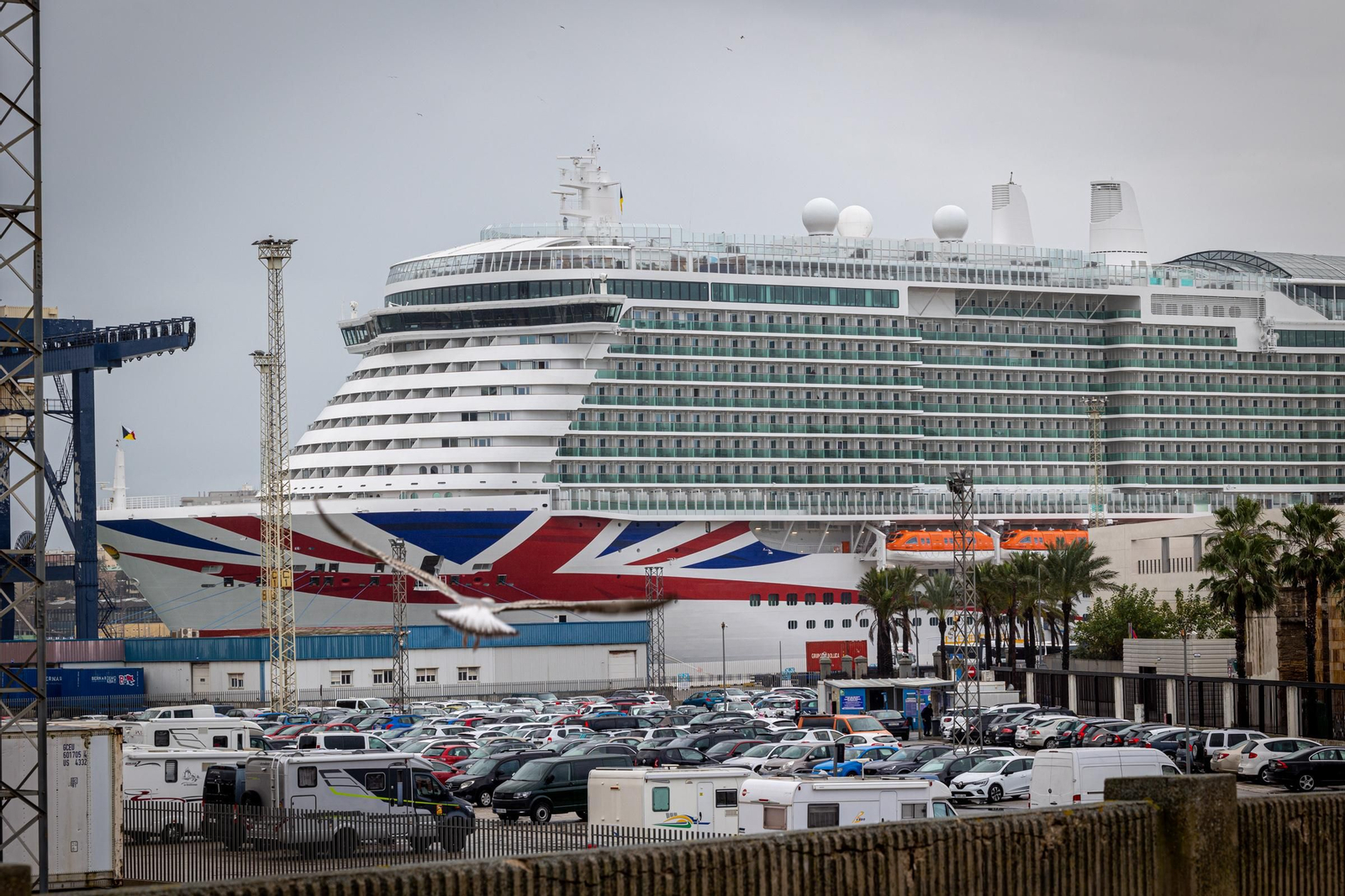 El crucero Arvia, durante una de sus numerosas visitas al puerto de Cádiz.