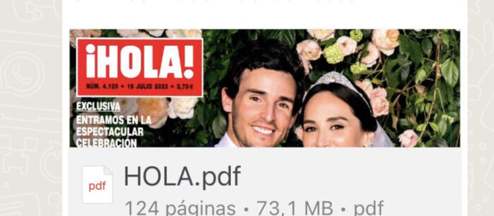 La AMI se solidariza con la revista '¡HOLA!' tras sufrir "el mayor pirateo de la historia" por la exclusiva de la boda de Tamara Falcó