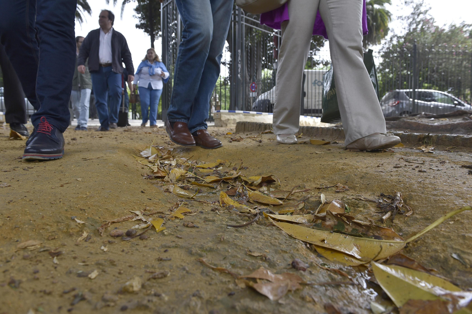 El estado de los Jardines de Murillo, en imágenes