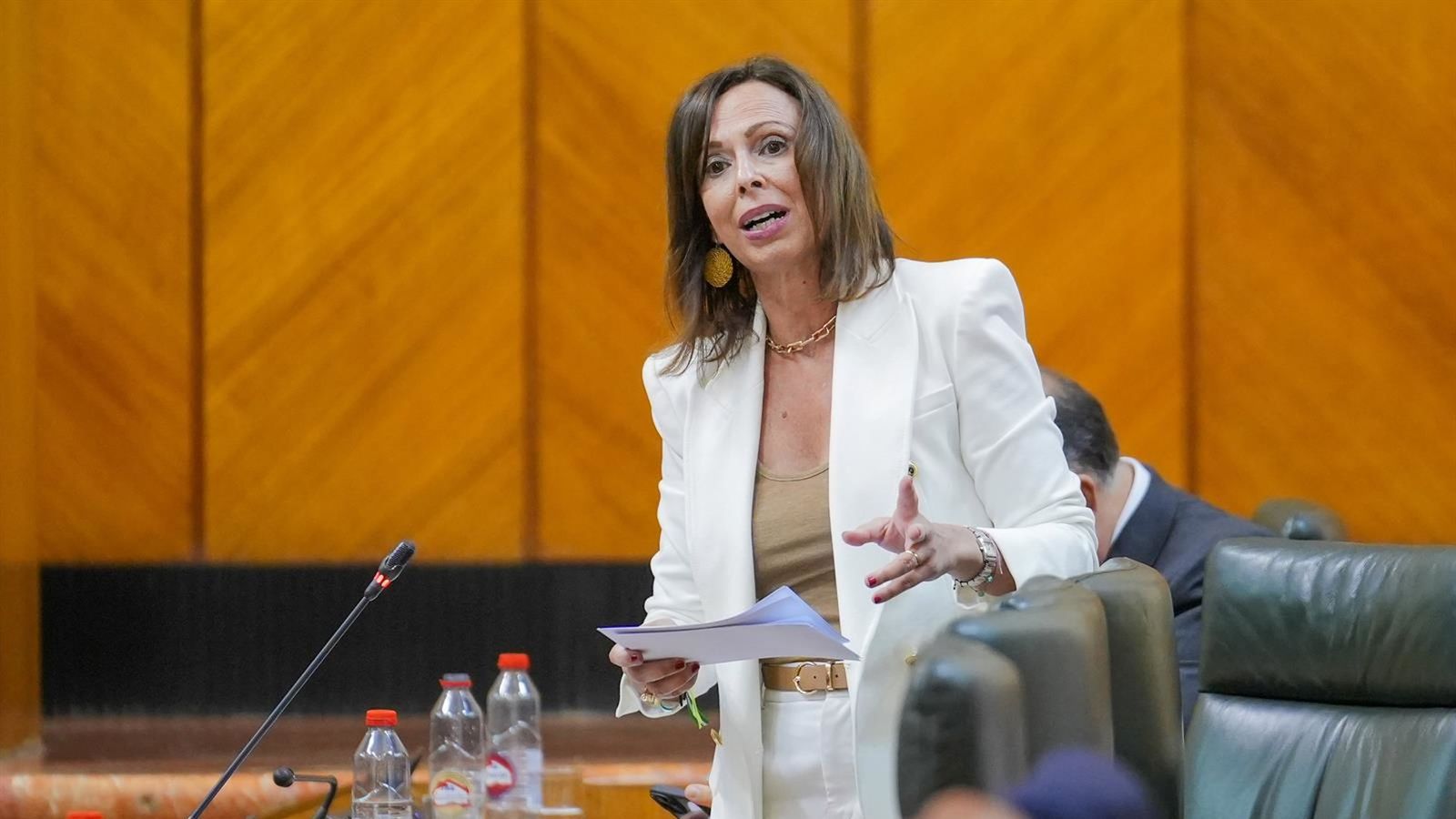 La consejera de Fomento, Articulación del Territorio y Vivienda, Rocío Díaz, en una imagen de archivo.