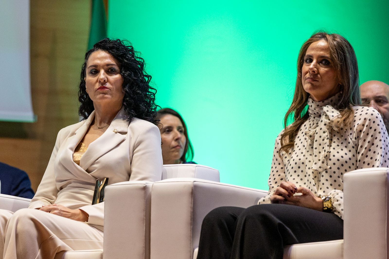 Así se ha vivido la entrega de las Banderas de Andalucía en Jaén