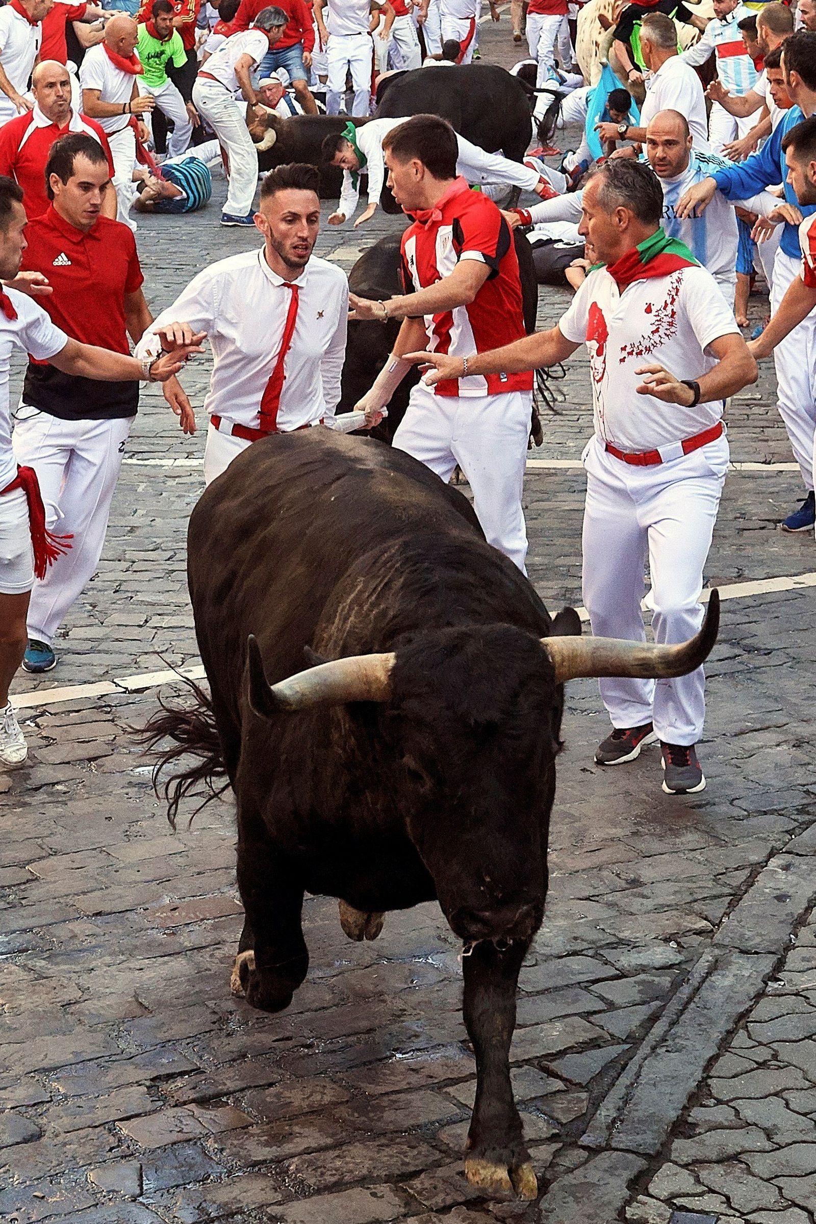 El quinto encierro de San Fermin 2019 en imágenes