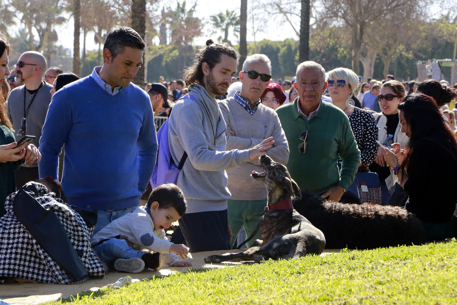 Imágenes de San Antón 2020 en Jerez