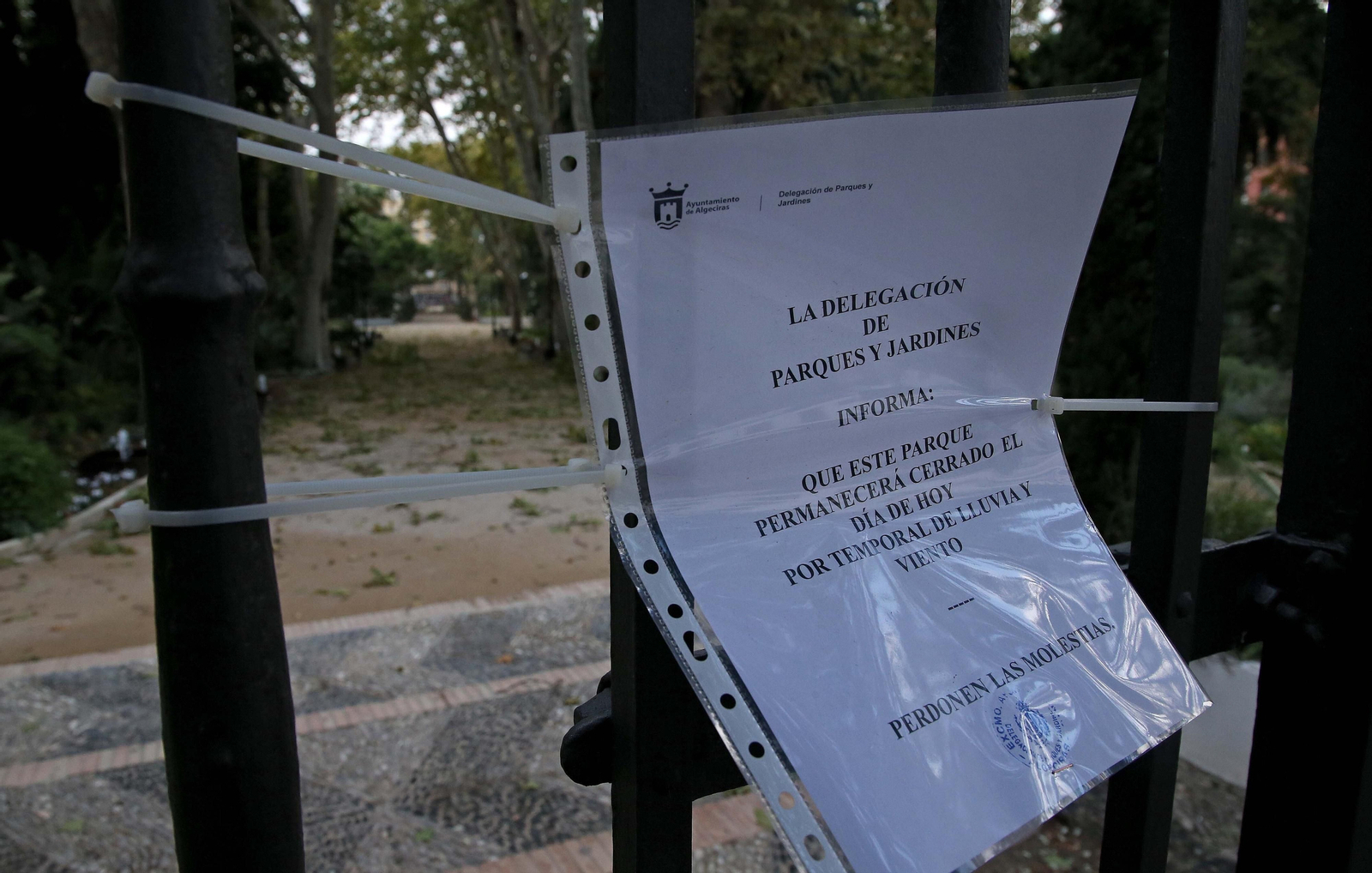 El paso de la borrasca Aline por Algeciras, en imágenes