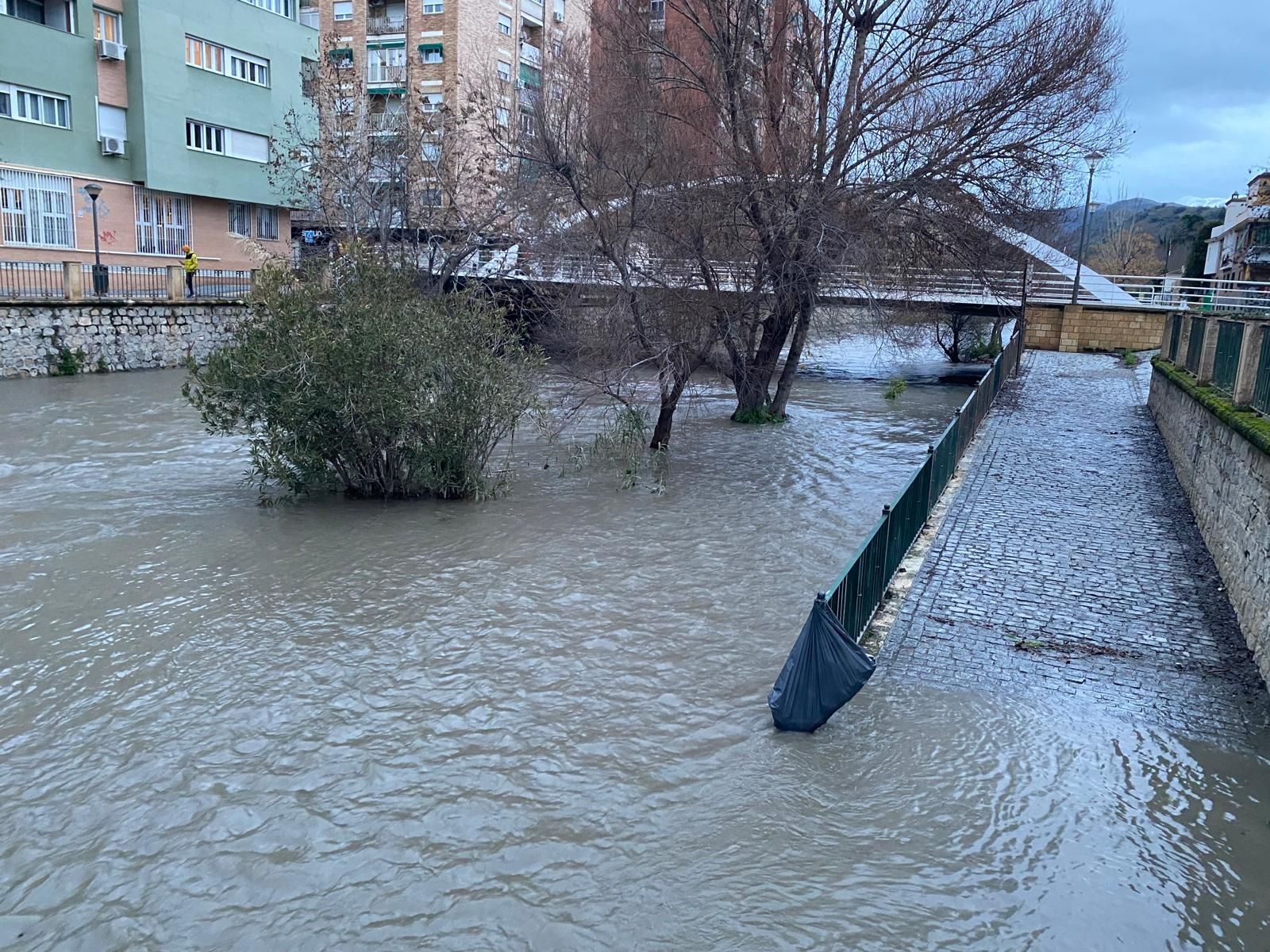 Las fotos de la previa de la borrasca Leonardo: nieve en Prado Negro y el río Genil en Granada, crecido