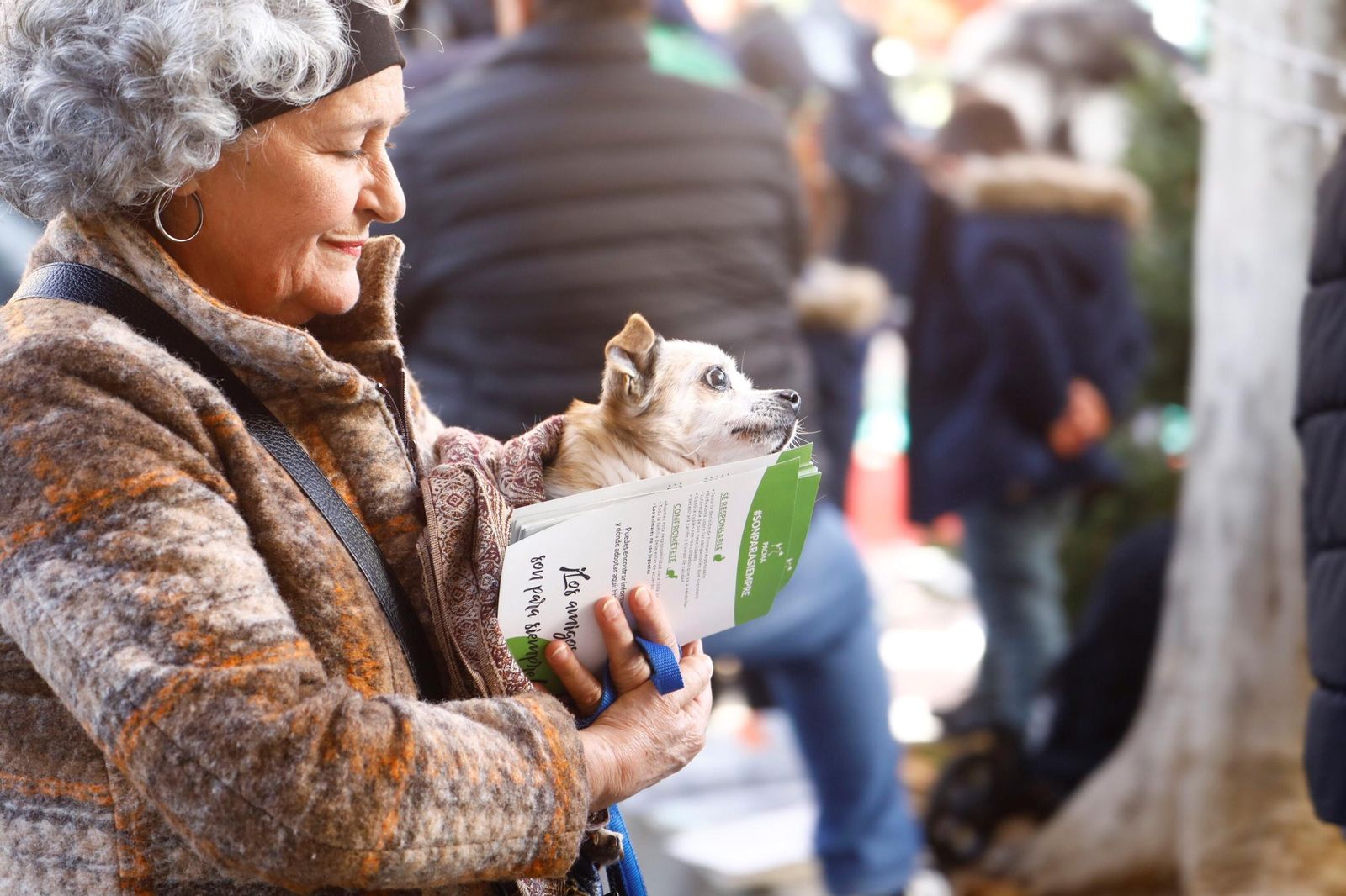 Las mejores imágenes del desfile preadopción de perros y gatos en Córdoba