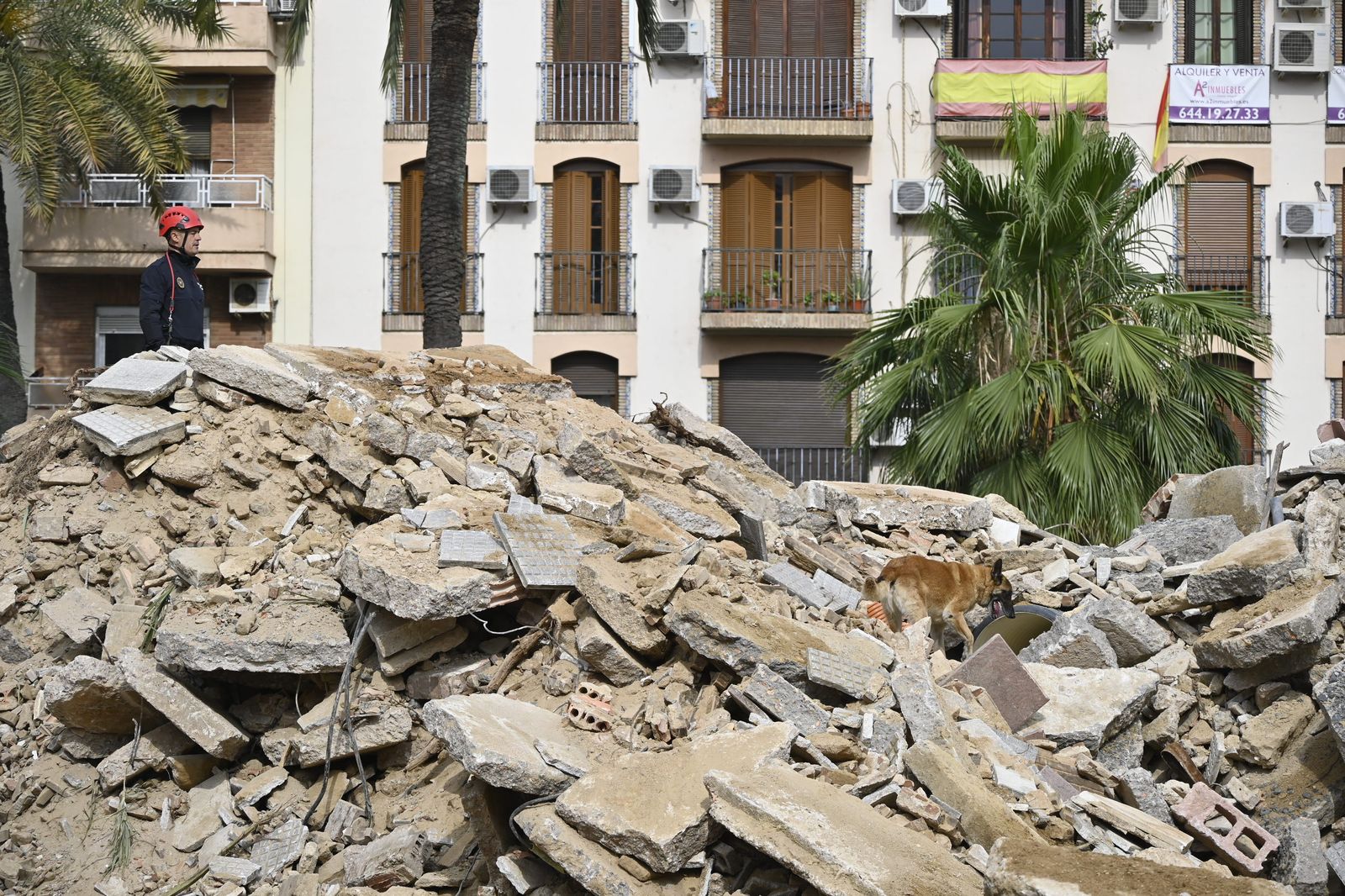 Simulacro de rescate de la Unidad Canina, en la Plaza de la Merced