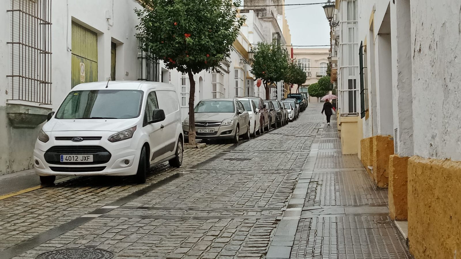 A debate el mal estado de la calle Lope de Vega en San Fernando