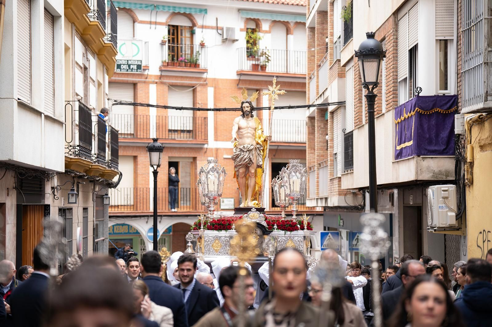 El Domingo de Ramos en Lucena, en imágenes