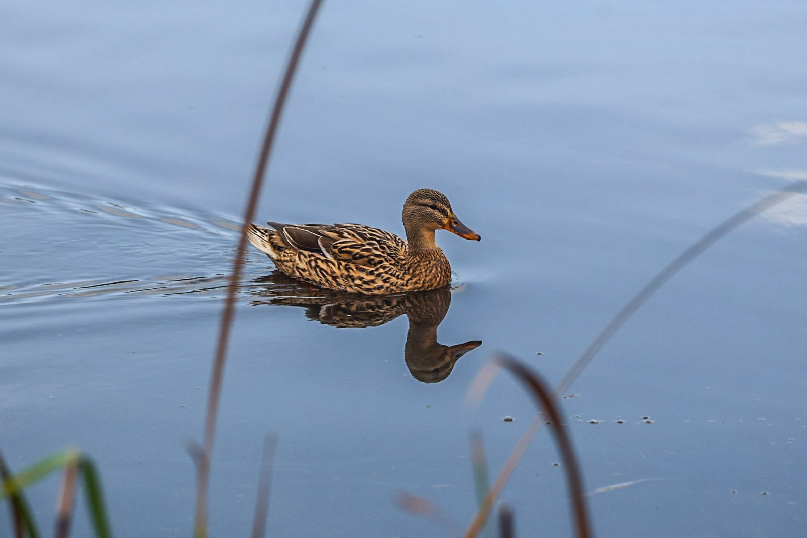 Fotografías de la celebración del Día Mundial de los Humedales
