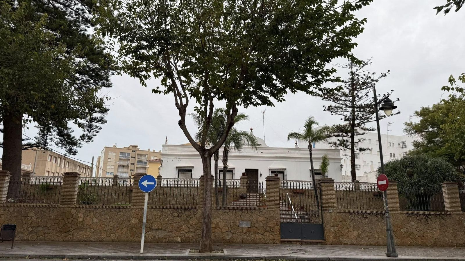 La araucaria en la entrada del edificio Villa Gloria en la Avenida de Regla.