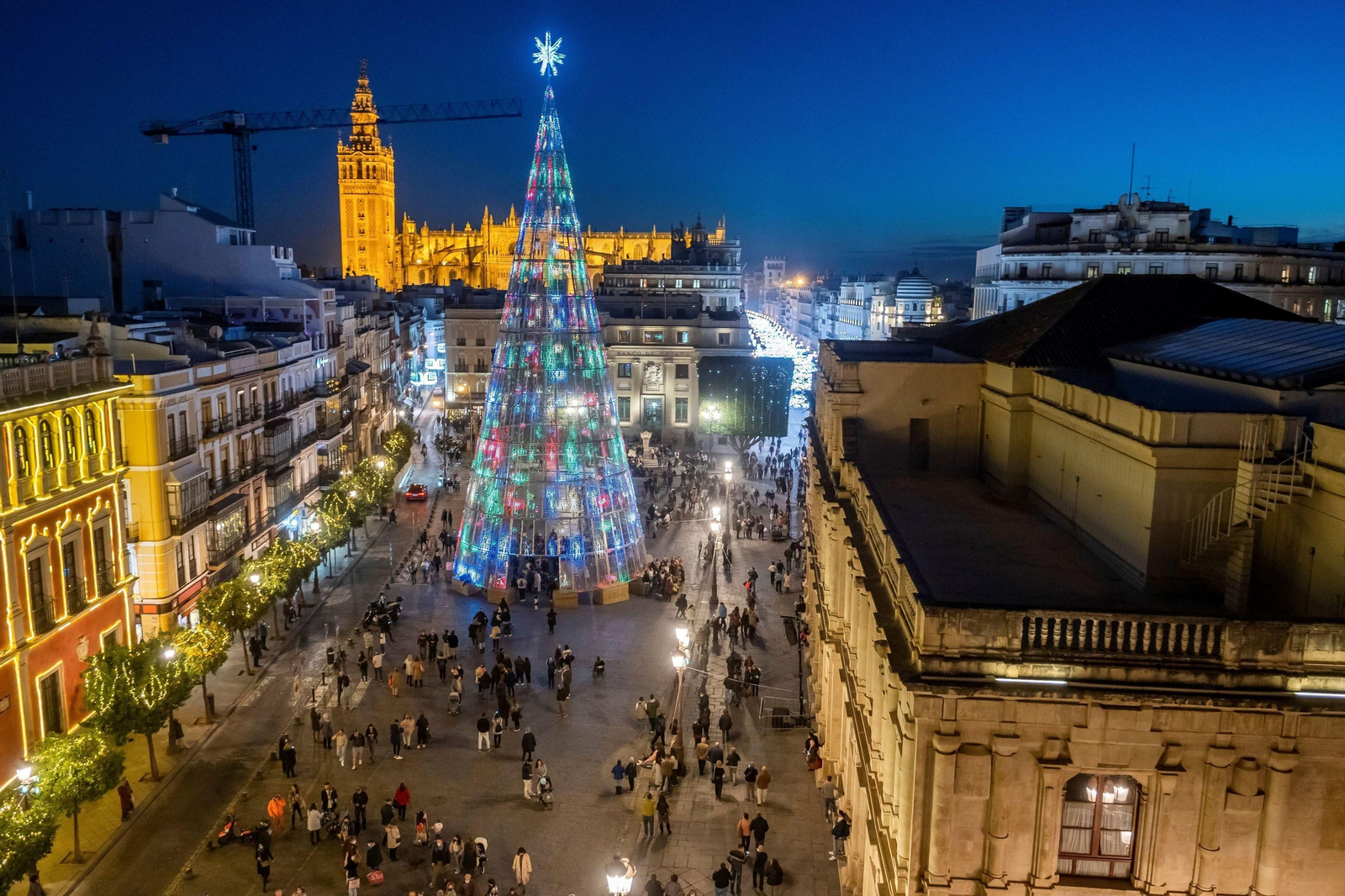 Un enorme árbol en la Plaza de San Francisco fue lo más destacado de la iluminación de la Navidad pasada.