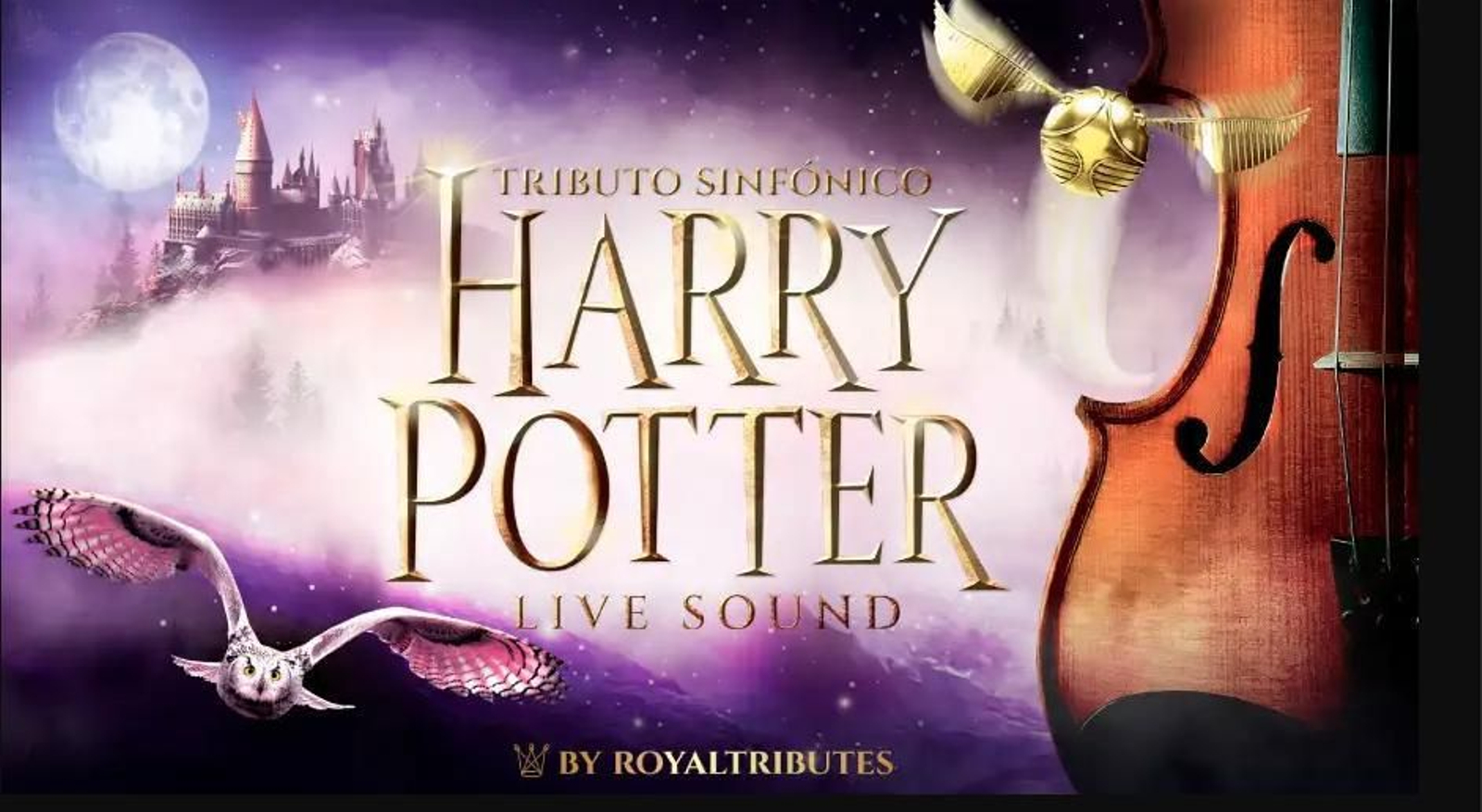 Cartel promocional del tributo sinfónico de Harry Potter. Cartel promocional del tributo sinfónico de Harry Potter.