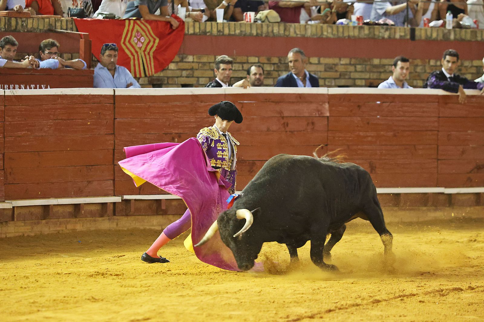 Toros La Merced 2024 Novillada con picadores(