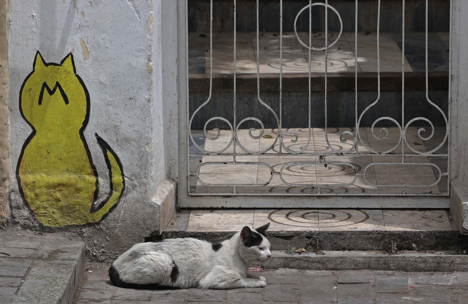 Un paseo por la ciudad de Tánger, en imágenes