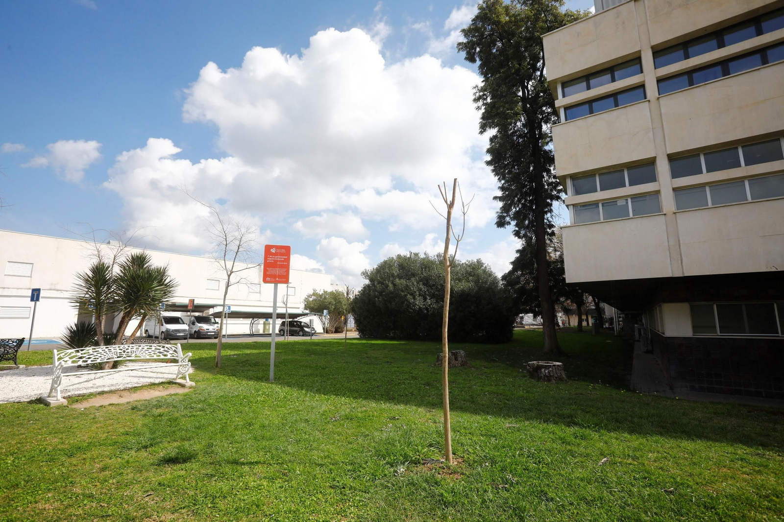 Las zonas verdes repobladas del Hospital Reina Sofía de Córdoba, en imágenes