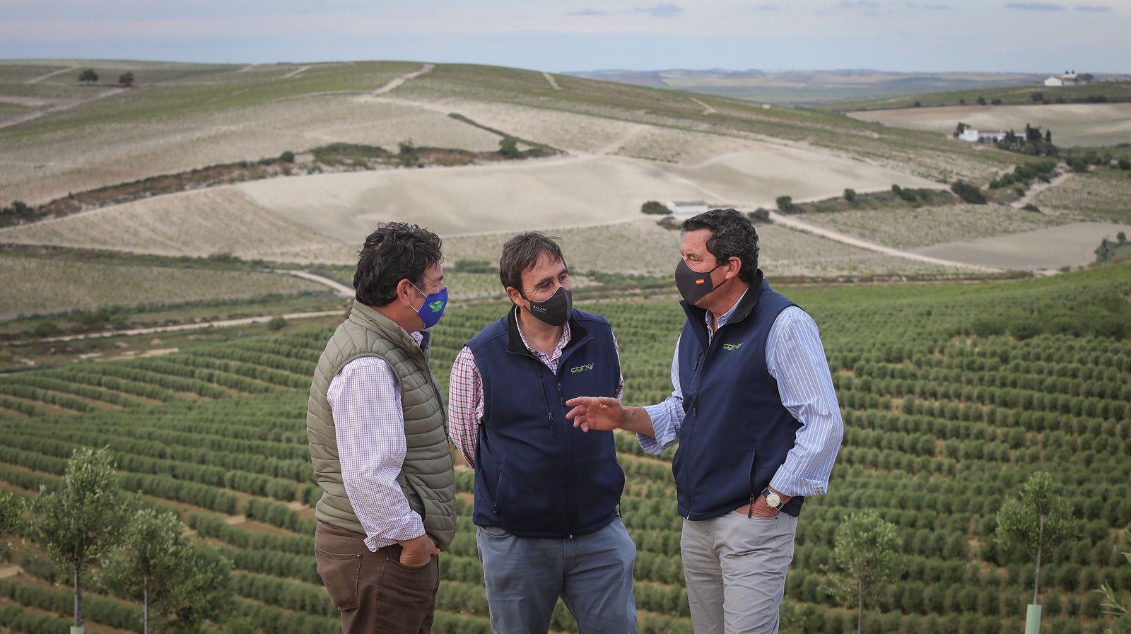Almendros y olivos en plena campiña jerezana