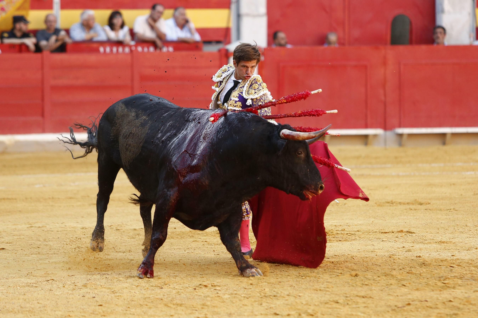 Las mejores imágenes de los toros en el Corpus