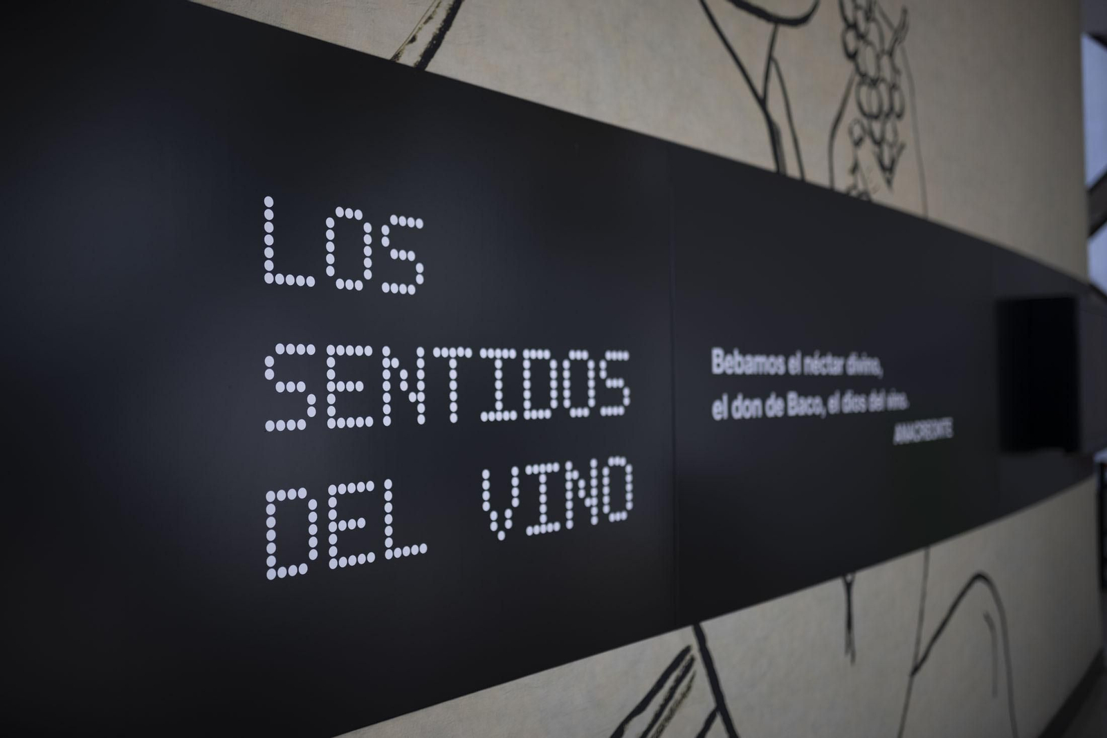 Imágenes de la vendimia en el Condado de Huelva