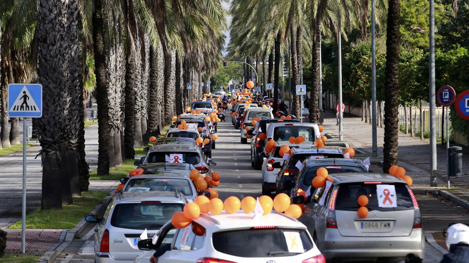 Imágenes de la manifestación en vehículos contra la Ley Celaá en Jerez