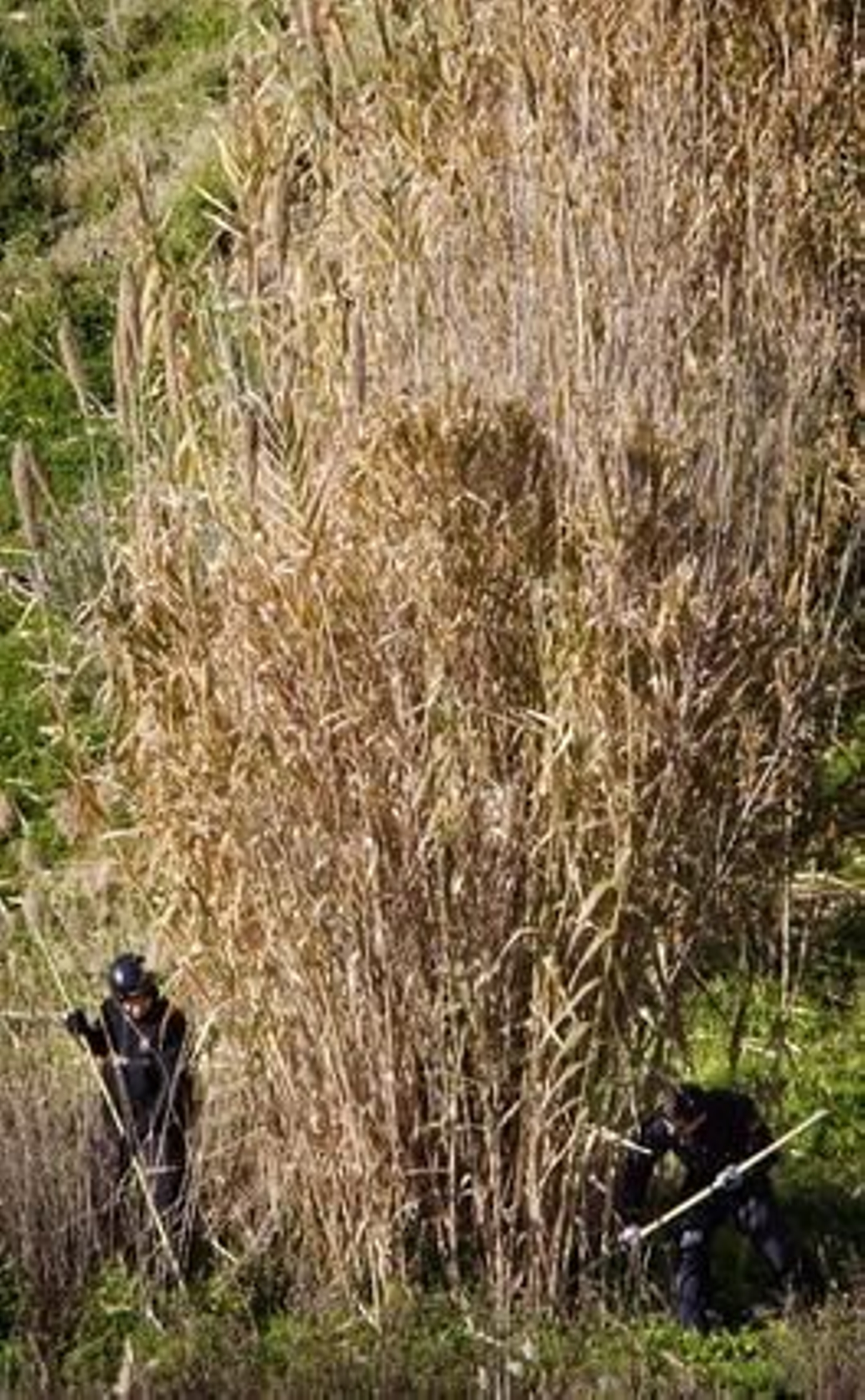 Foto: José Manuel Vidal (EFE)
