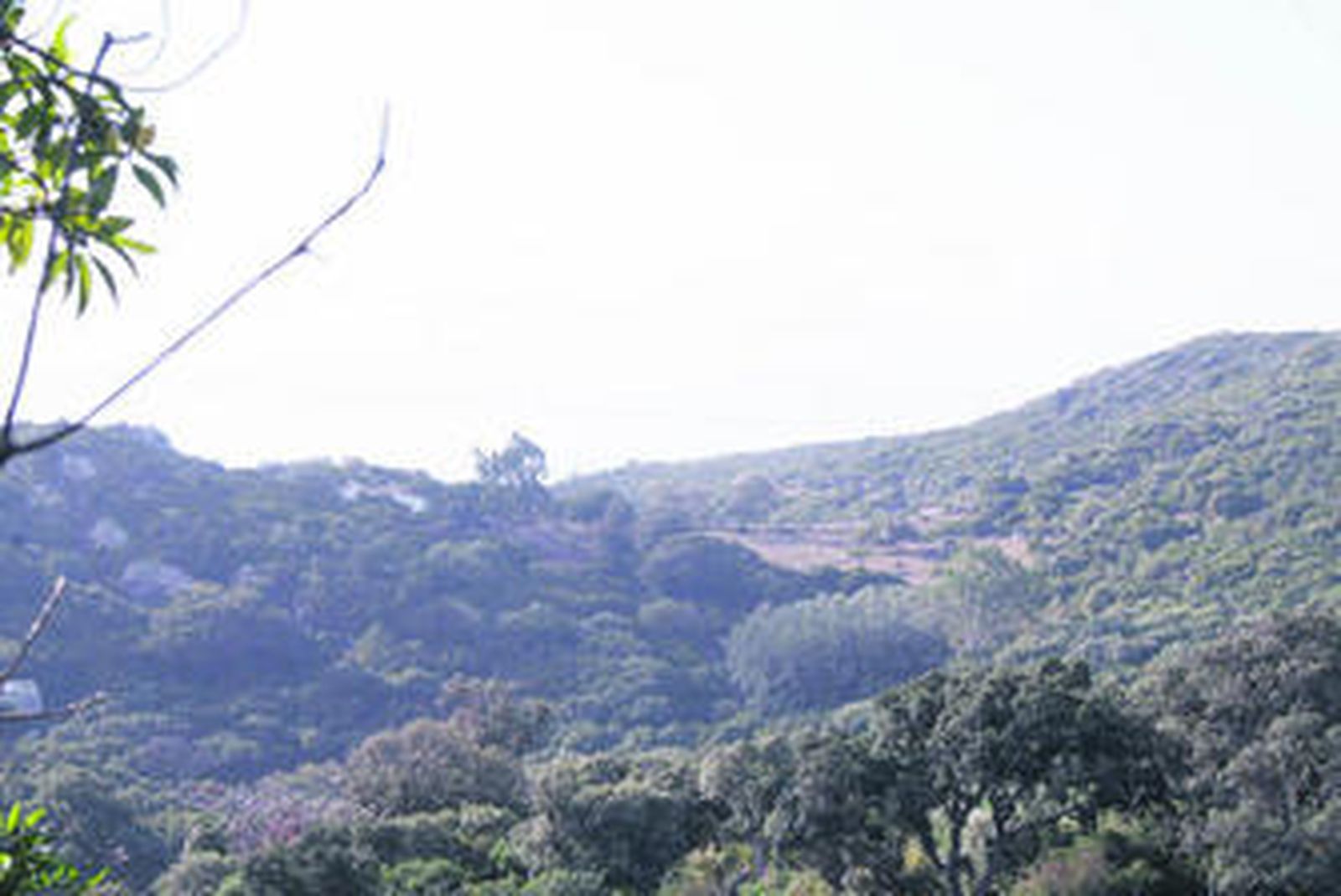 Paraje de Tarifa donde están las fincas de Inversiones Kintamani.