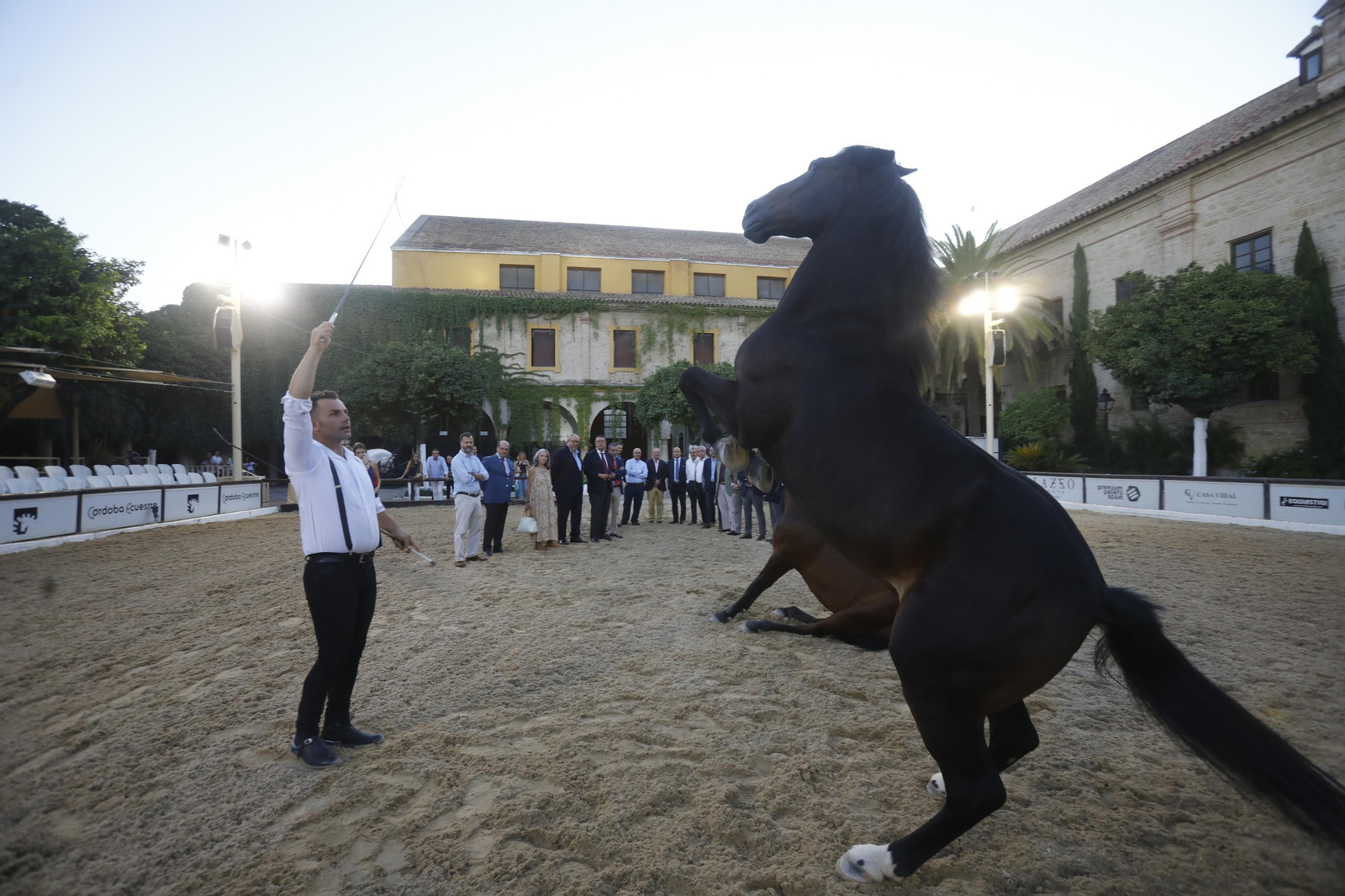El arranque del XXVII Concurso Morfológico de La Feria del Caballo de Córdoba, en imágenes