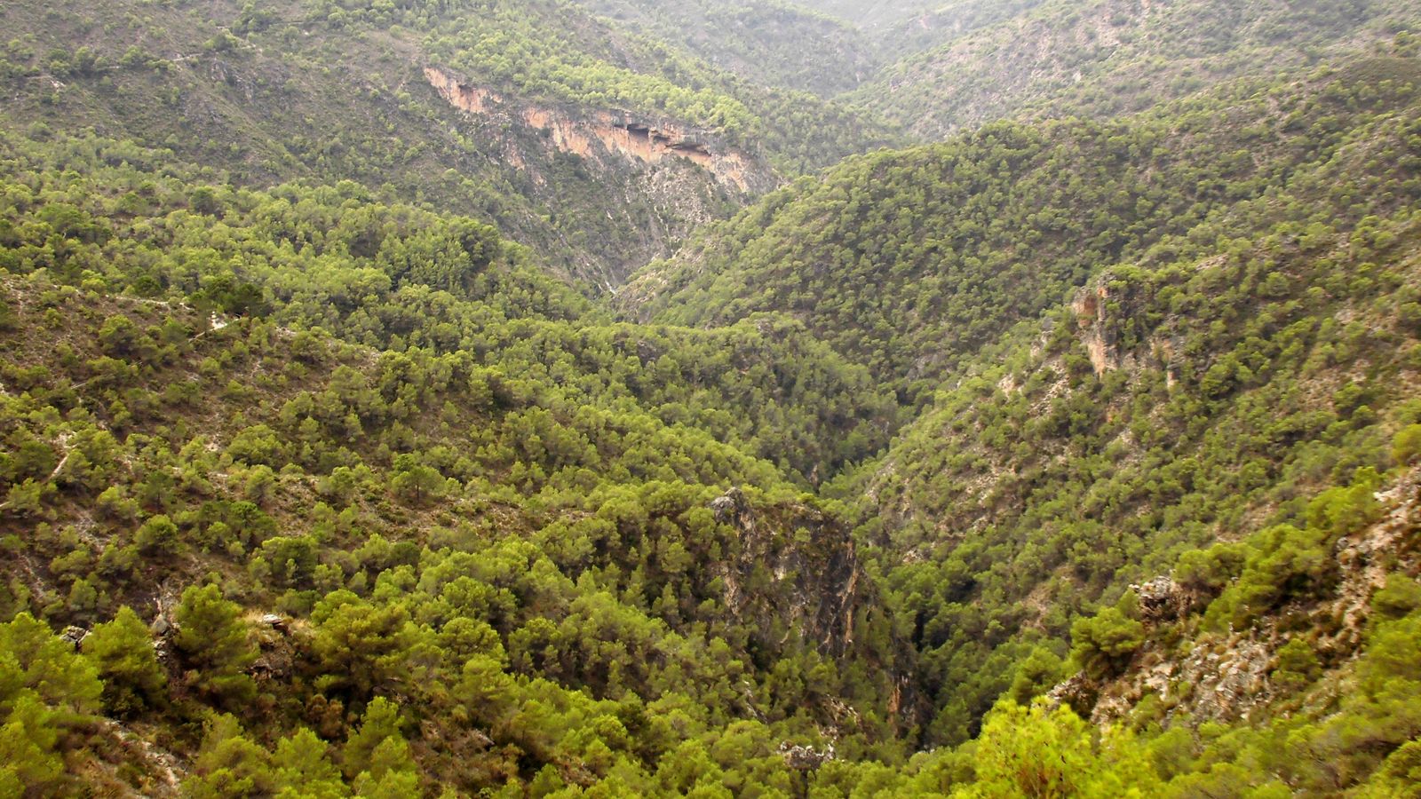 El paisaje en esta senda es la mayor recompensa. El paisaje en esta senda es la mayor recompensa.