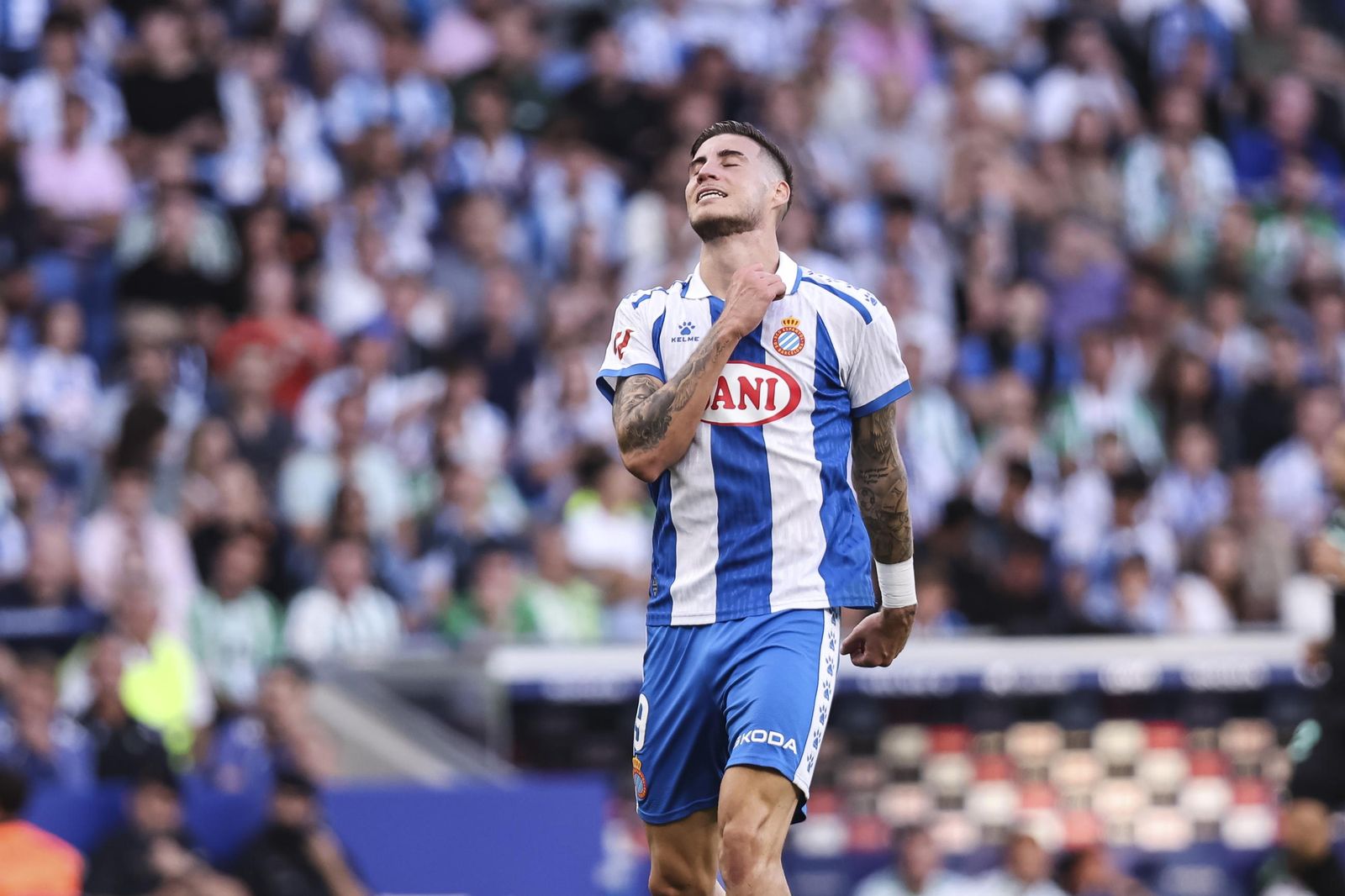 Las mejores fotos del Espanyol-Betis