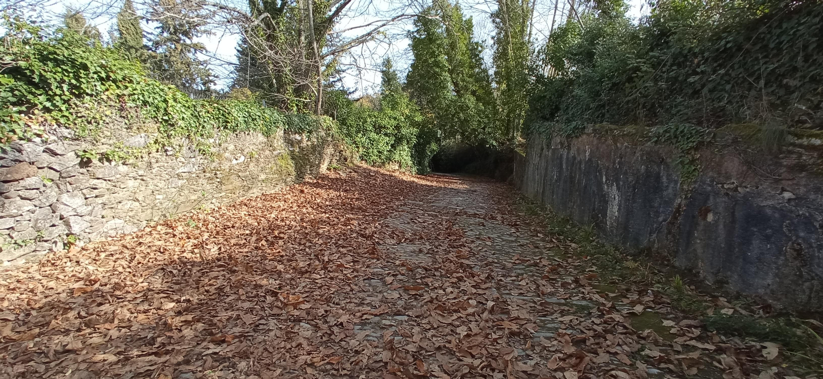 Las imágenes de la ruta de la Dehesa de Valdelama: De Los Marines a Fuenteheridos y vuelta
