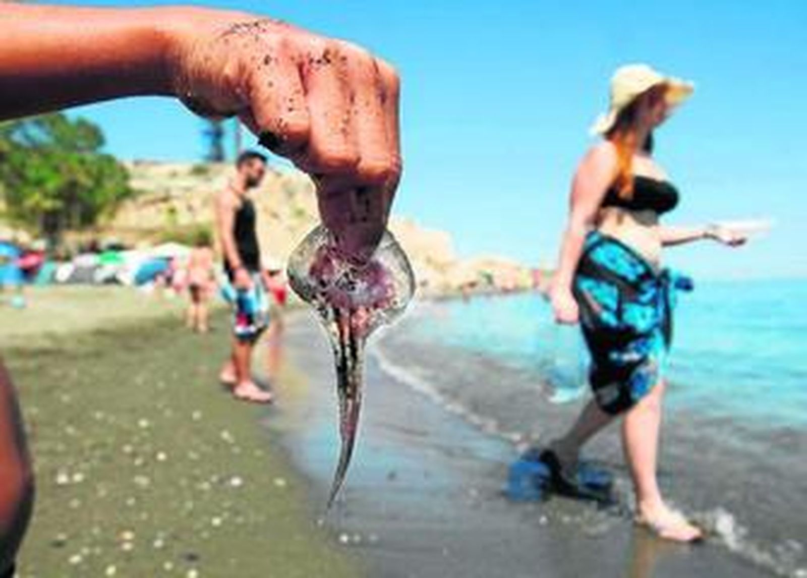 Frotar arena en la picadura sólo conseguirá extender más la erupción.