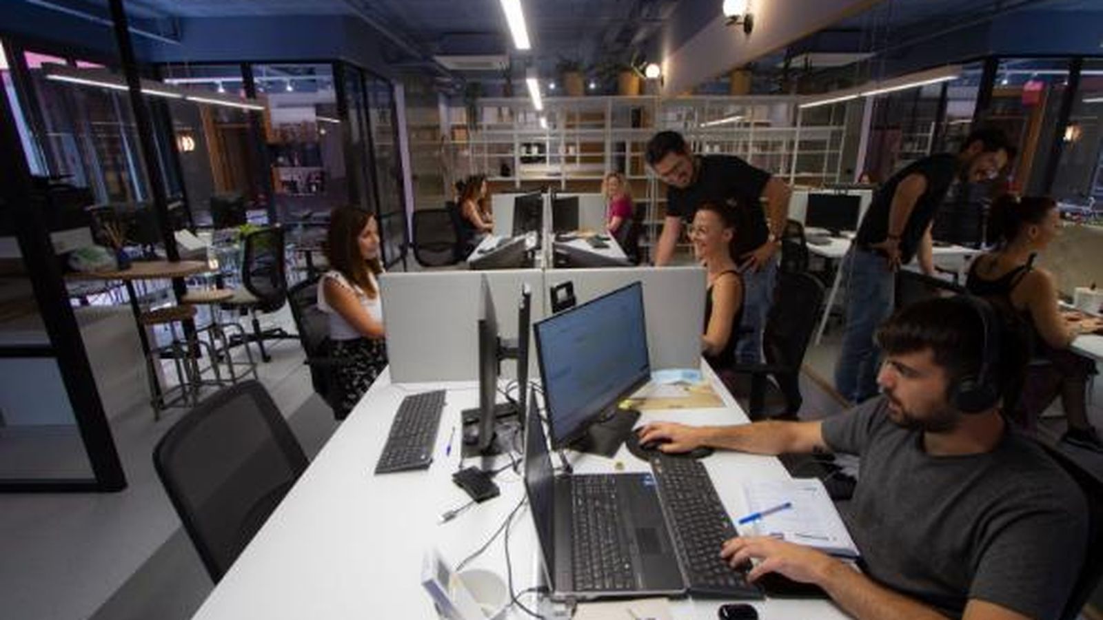 Asesoramiento técnico