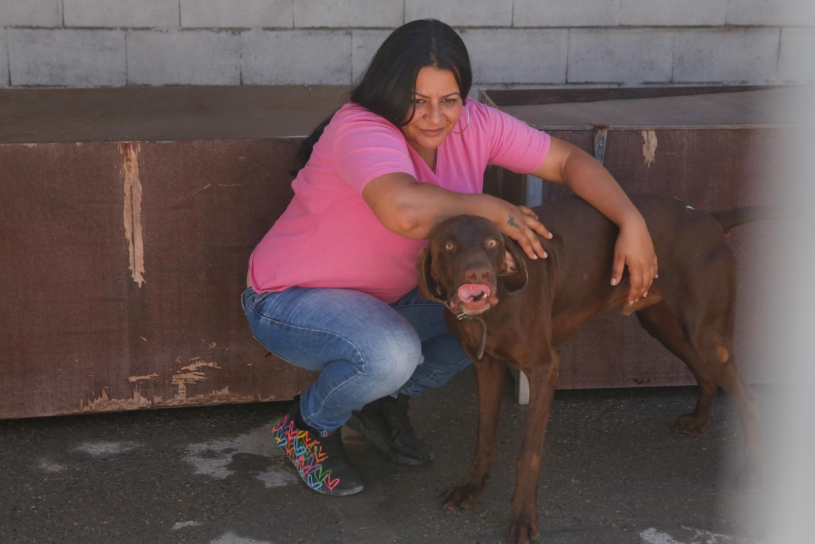 Las fotos de la protectora de animales de La Línea El gato andaluz