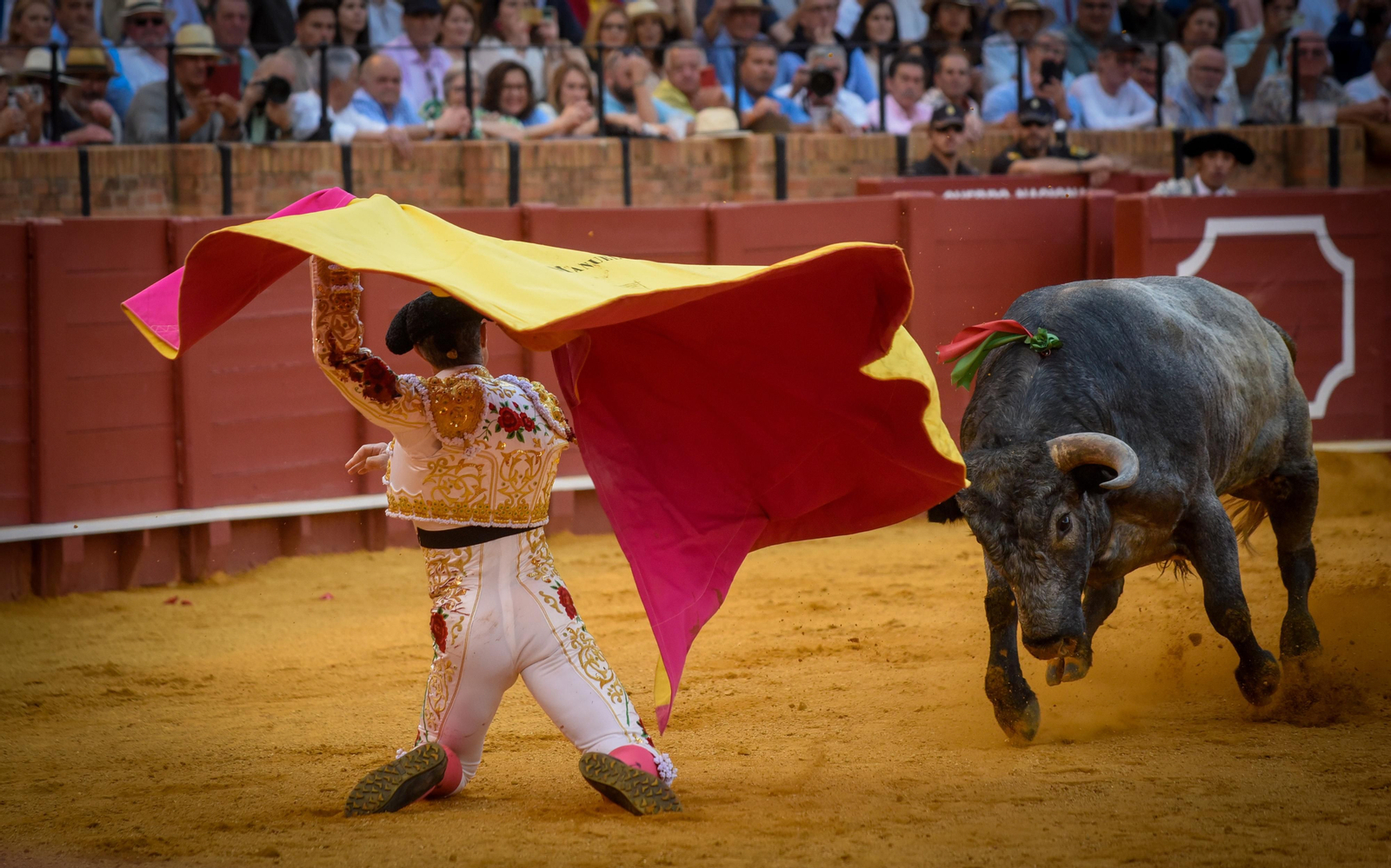 Las imágenes de la corrida de toros de El Fandi, Manuel Escribano y Esaú Fernández