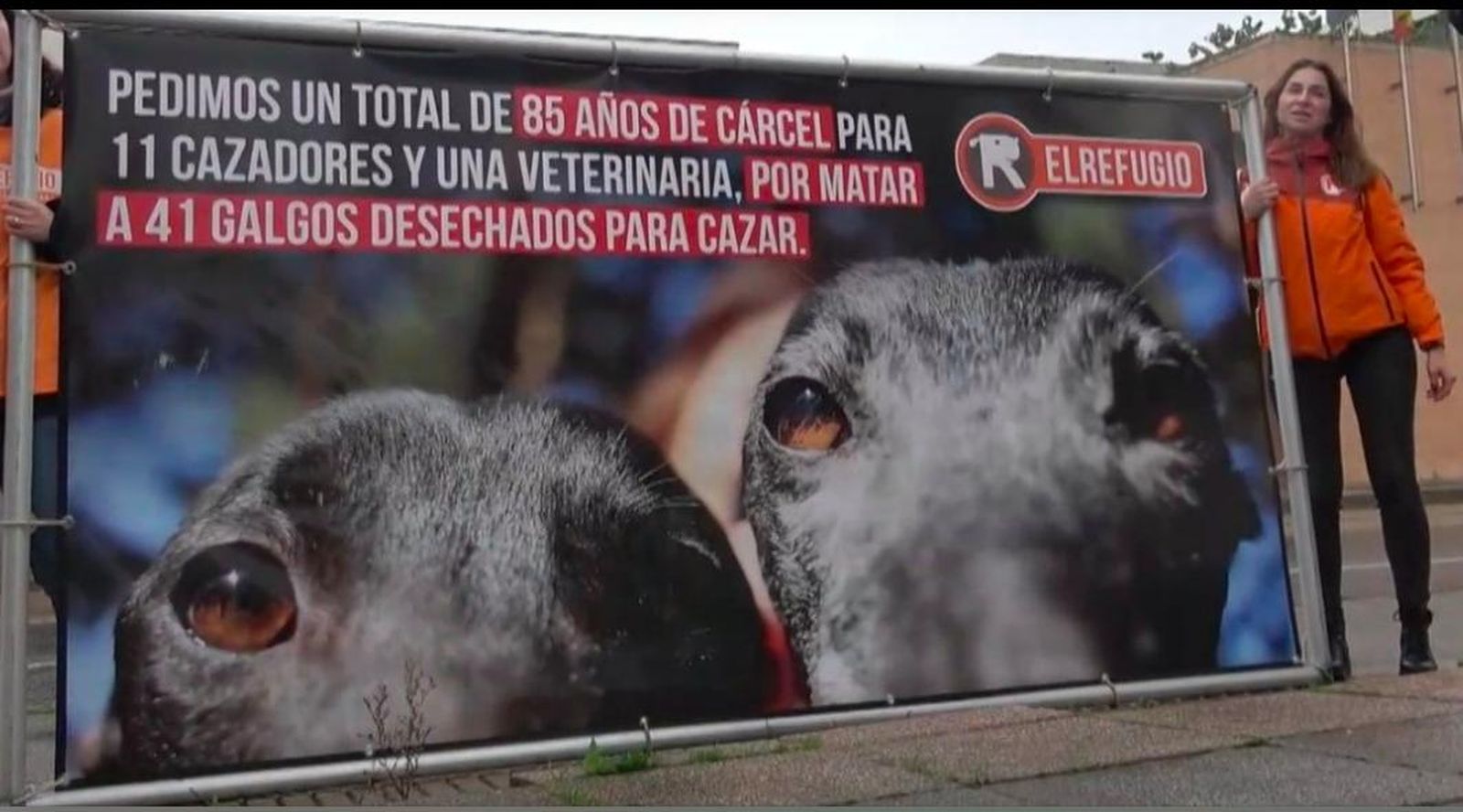Veterinaria juzgada niega sacrificar perros sanos y cazadores cambian versión