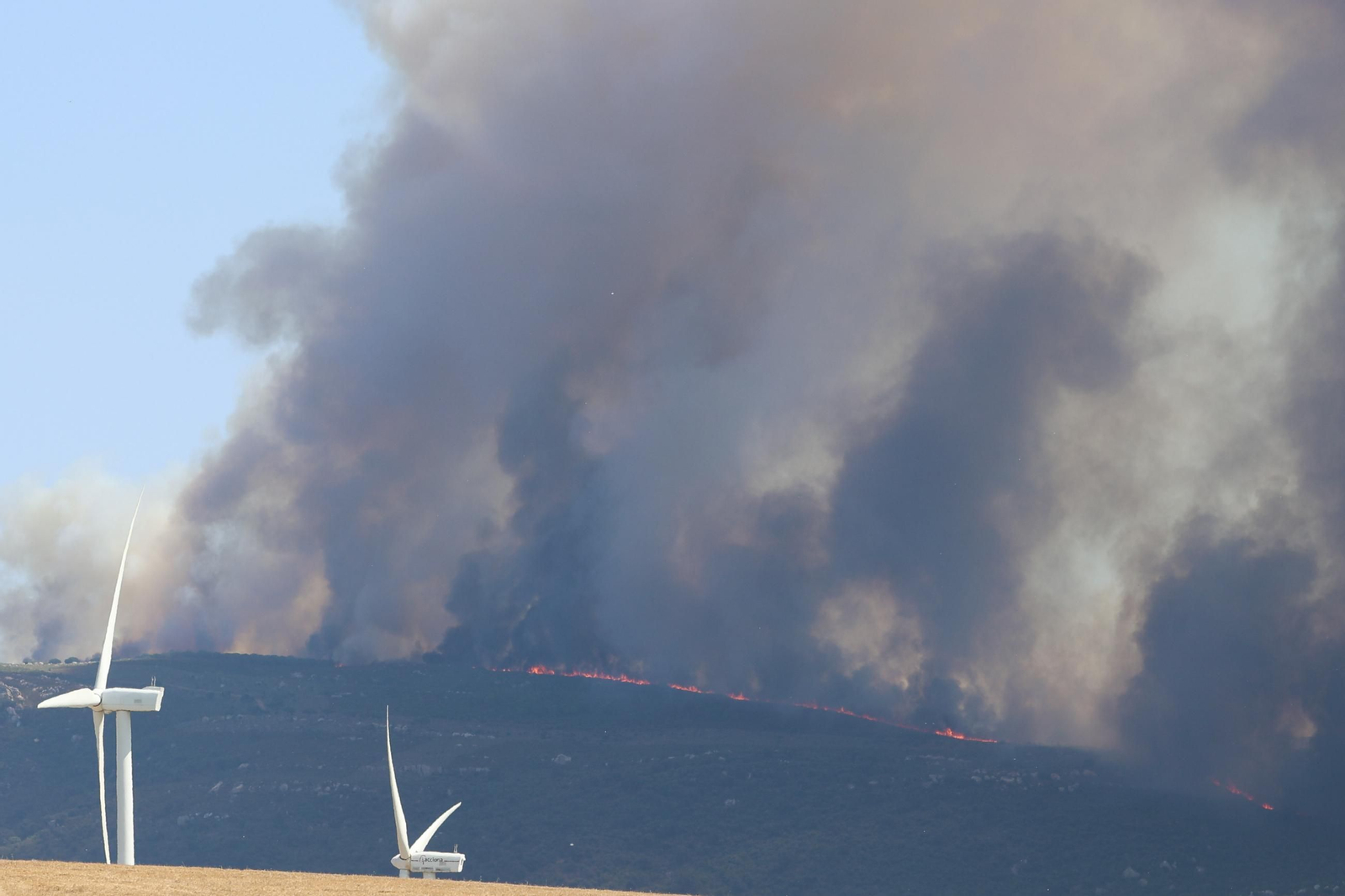 Las fotos del incendio forestal en la Sierra de la Plata de Tarifa