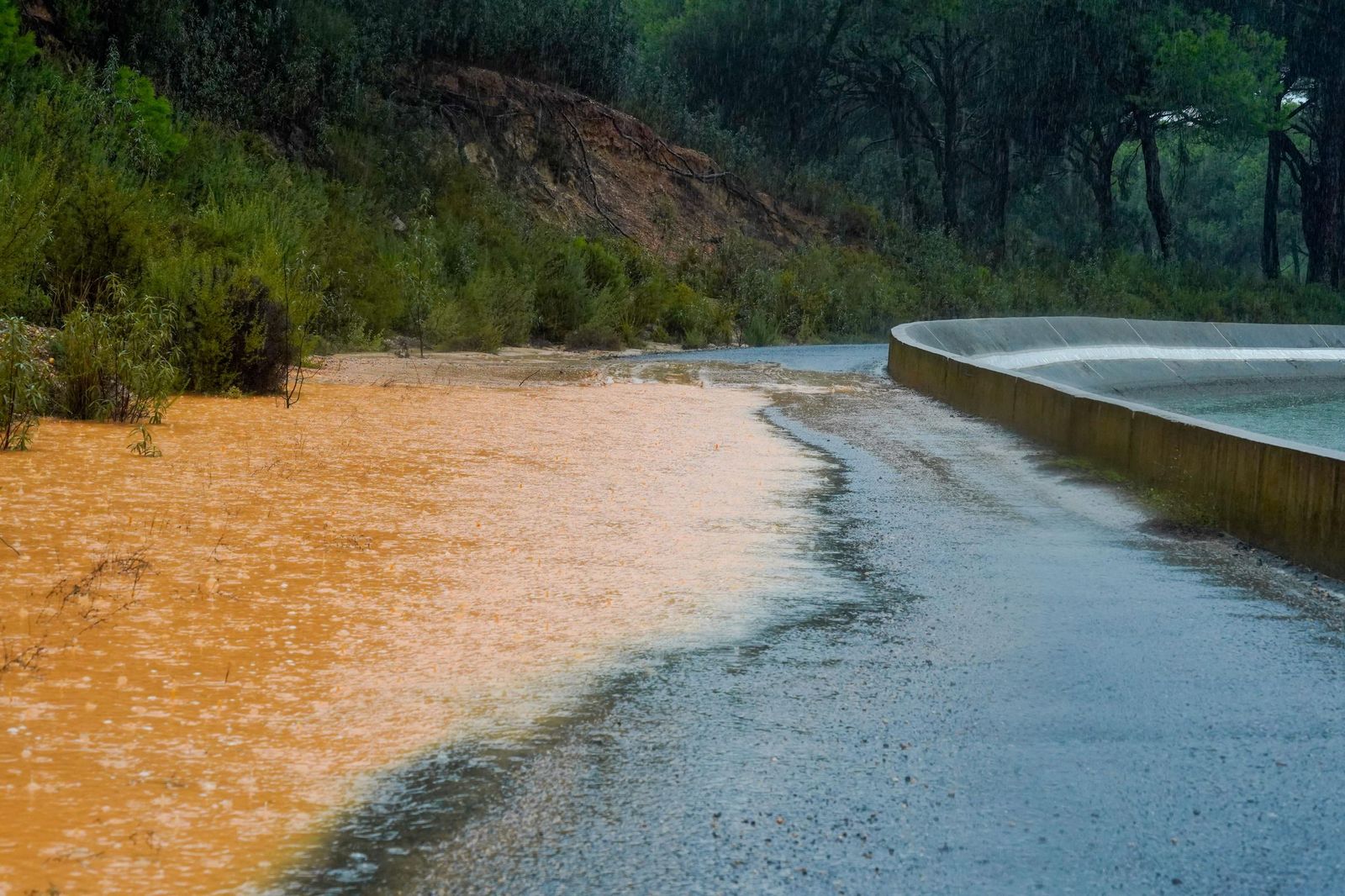 Las mejores imágenes del viernes 1 de noviembre en Huelva