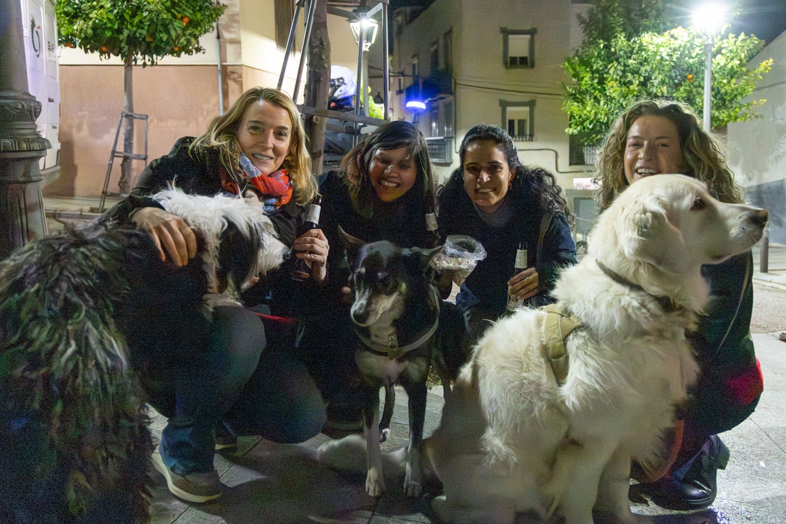 Encendido en Jaén de la lumbre oficial de San Antón 2026 y bendición de los animales