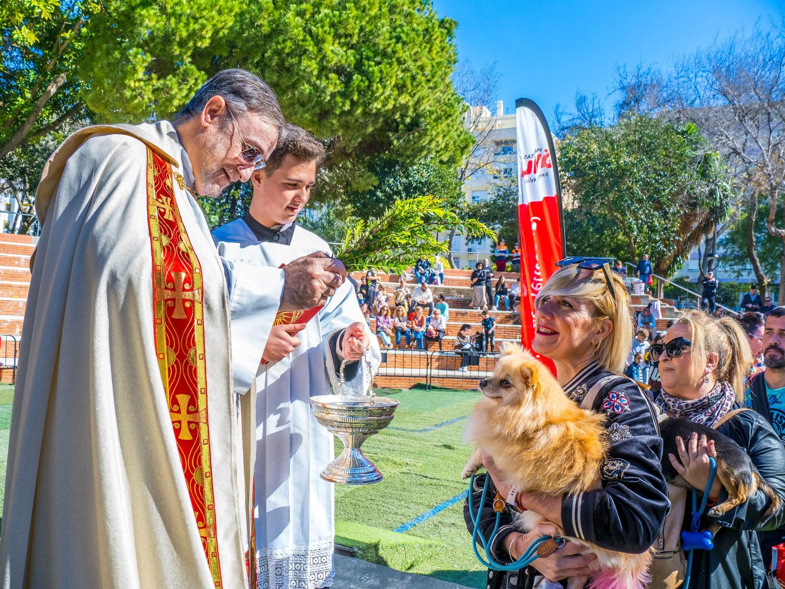 Las imágenes de San Antón 2025 en San Fernando