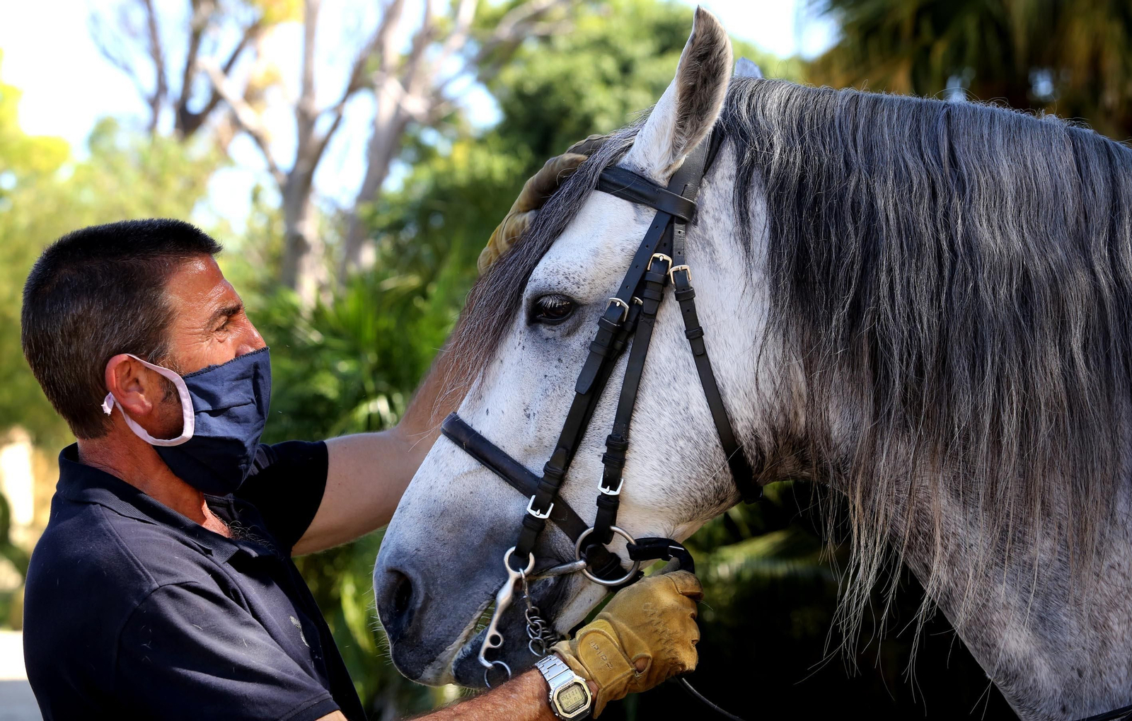Real Escuela de Arte Ecuestre,Coronavirus