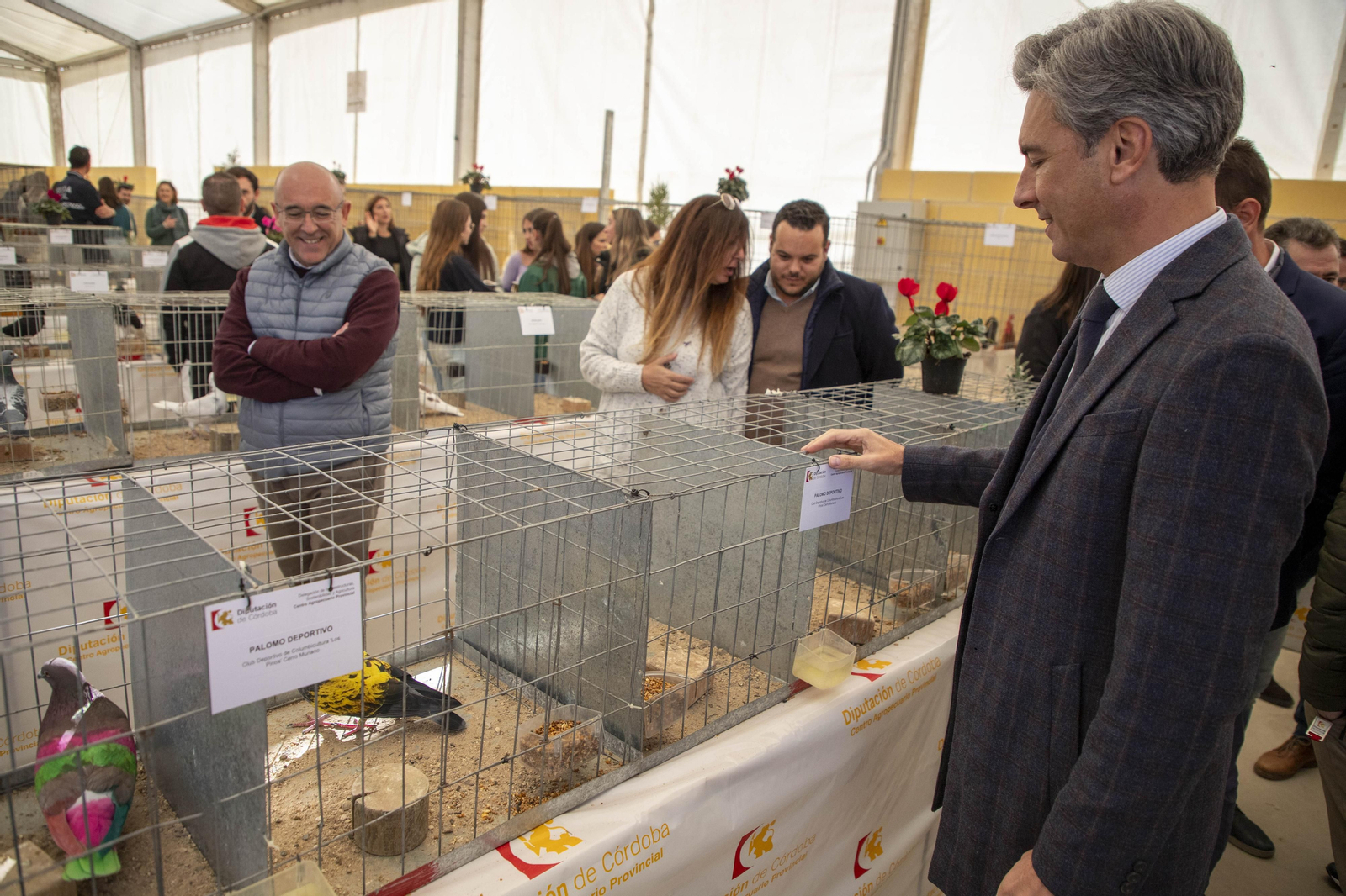 Un paseo en fotografías por Avicor, la Feria Avícola de Córdoba