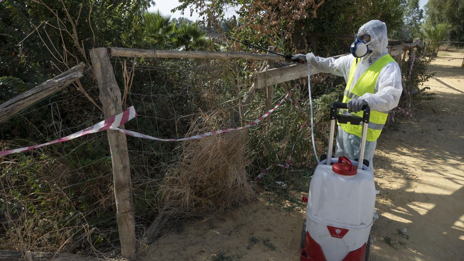 Labores de fumigación en un municipio andaluz