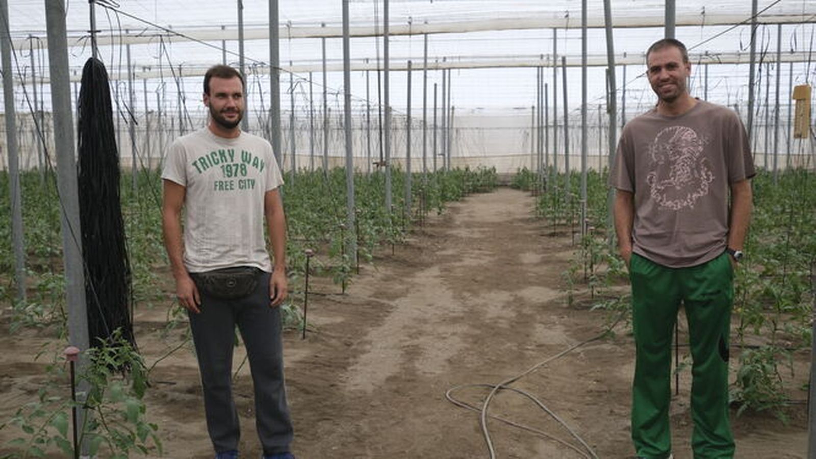 La Junta abona en tres años ayudas a 3.725 jóvenes agricultores.