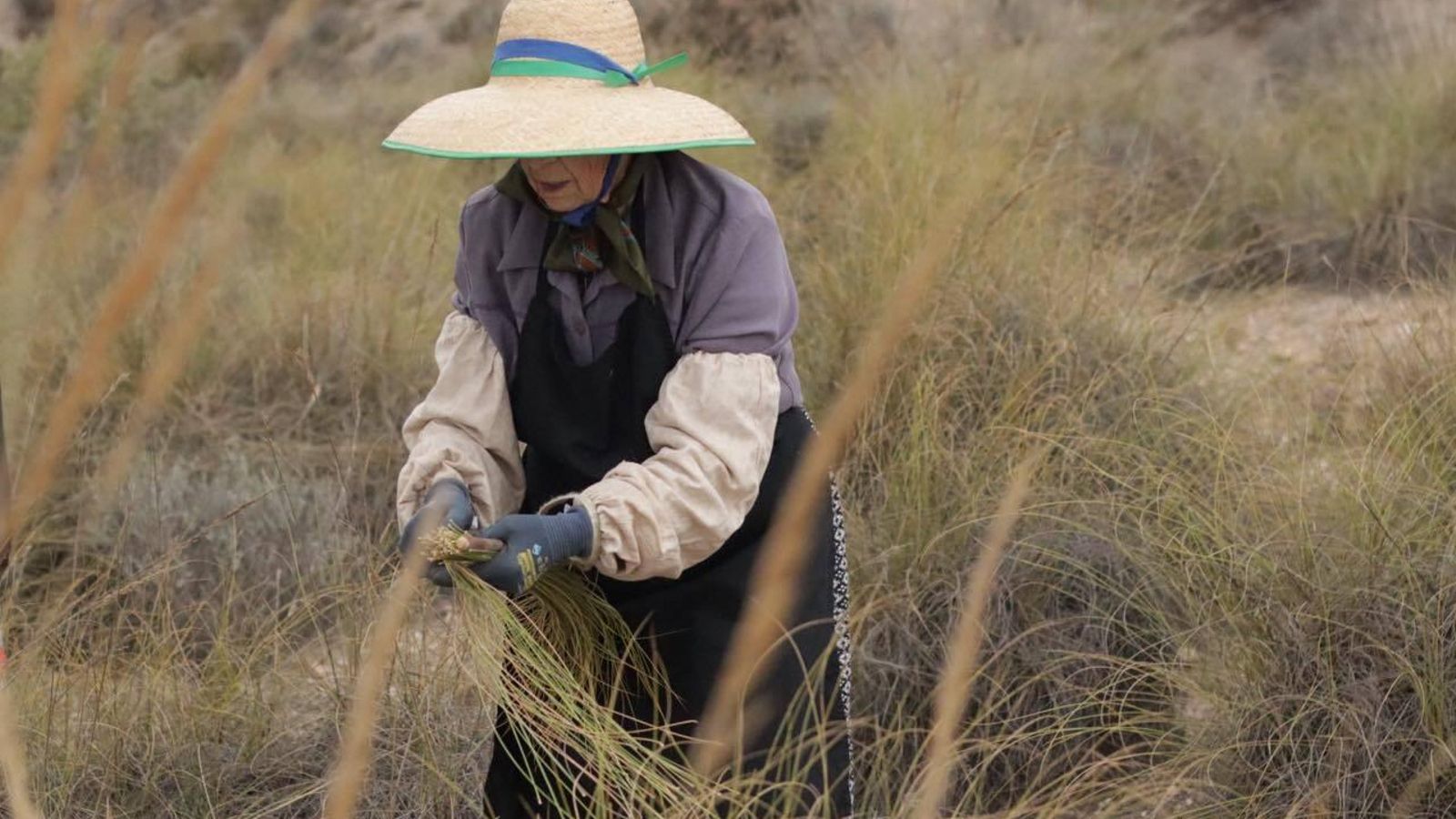 En el arte de aprender no existe mayor virtud que compartir experiencias.