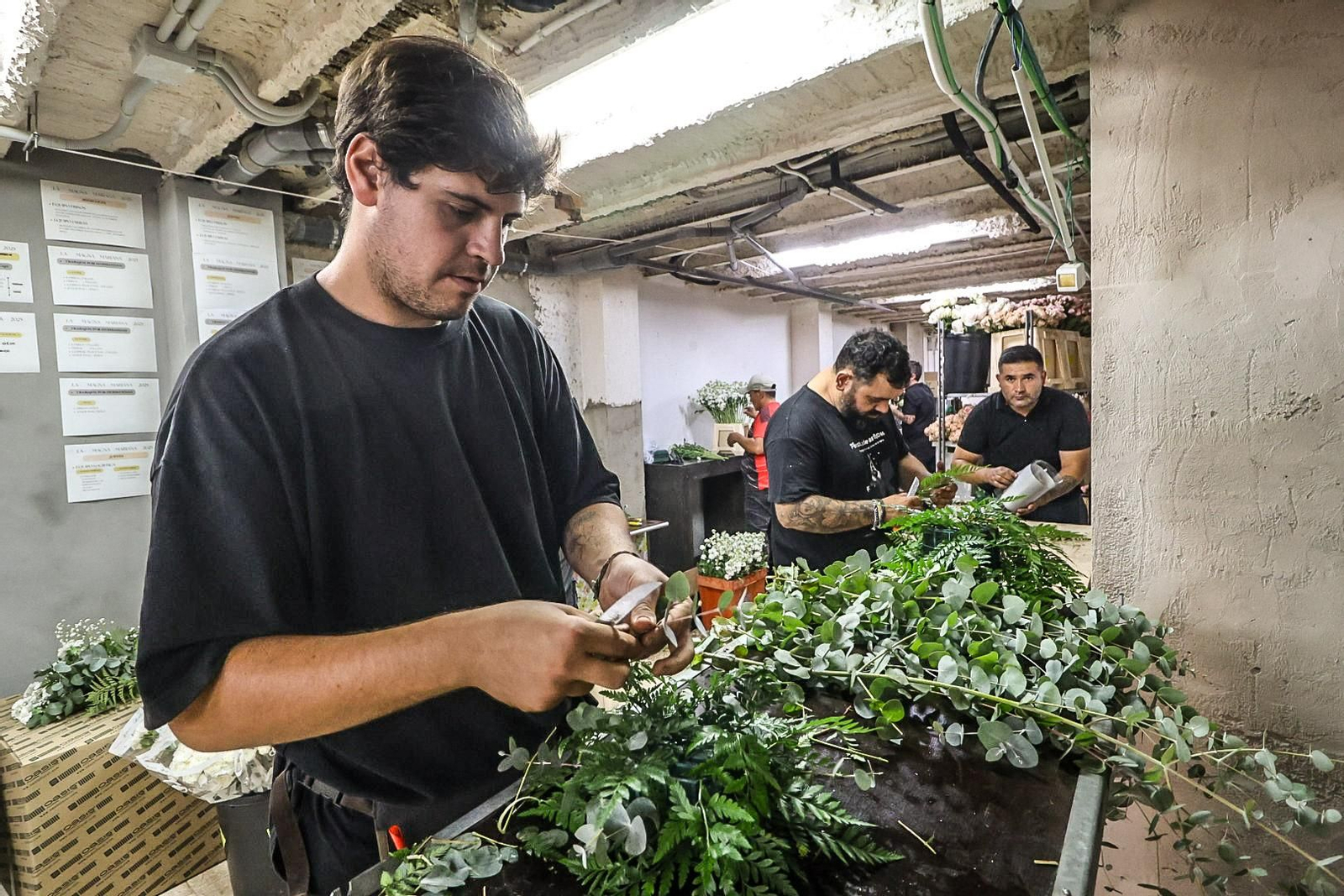 Imágenes de los preparativos florales para la Magna Mariana, en el taller de Antonio Rivera