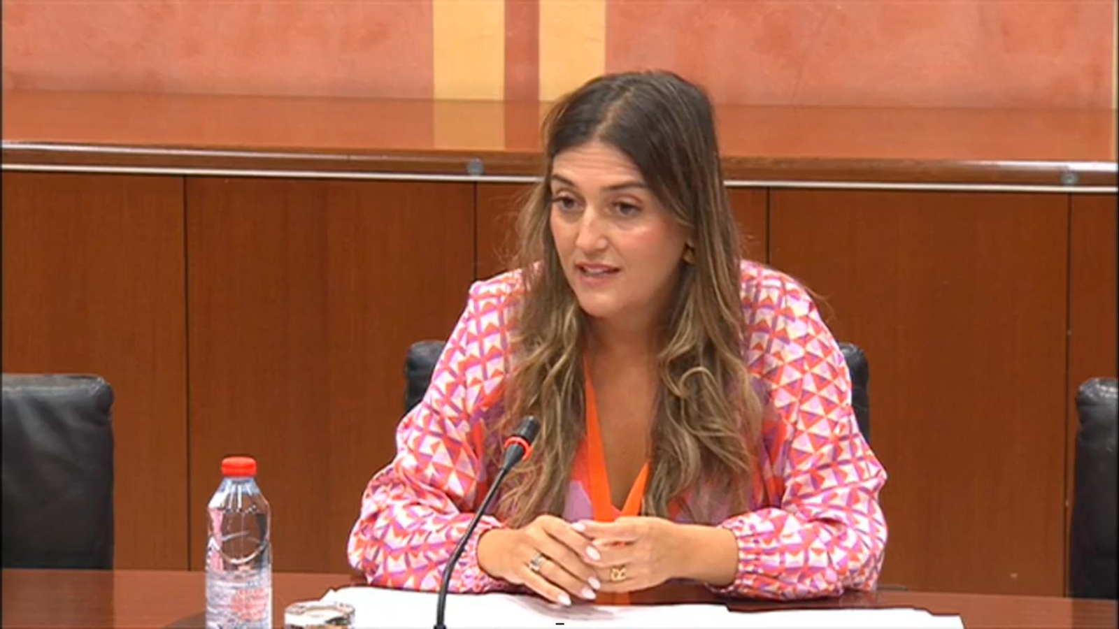 Begoña Arana en el Parlamento de Andalucía, este martes. Begoña Arana en el Parlamento de Andalucía, este martes.